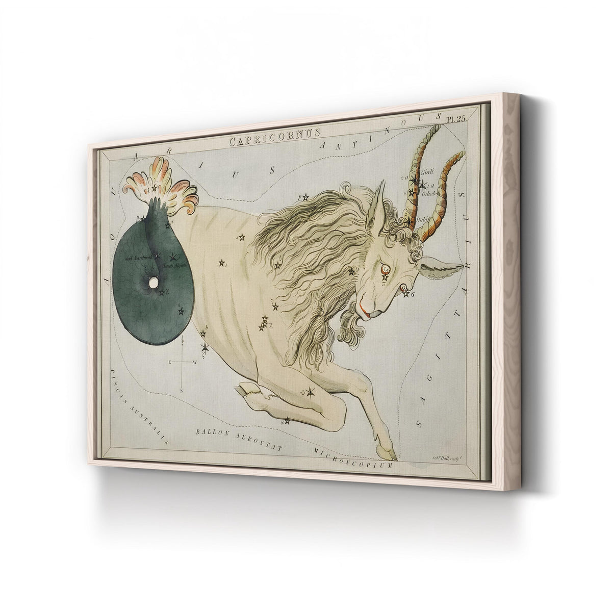 Hall’s Astronomical Illustrations VIII, Capricorn Star Map, c. 1824 by Sidney Hall canvas print in Natural frame
