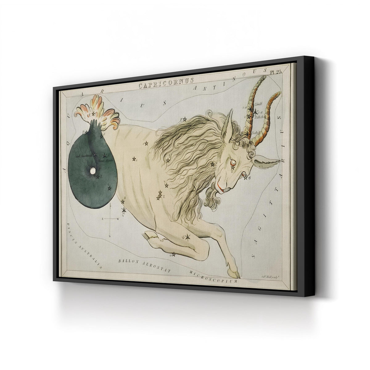 Hall’s Astronomical Illustrations VIII, Capricorn Star Map, c. 1824 by Sidney Hall canvas print in Black Framed Canvas