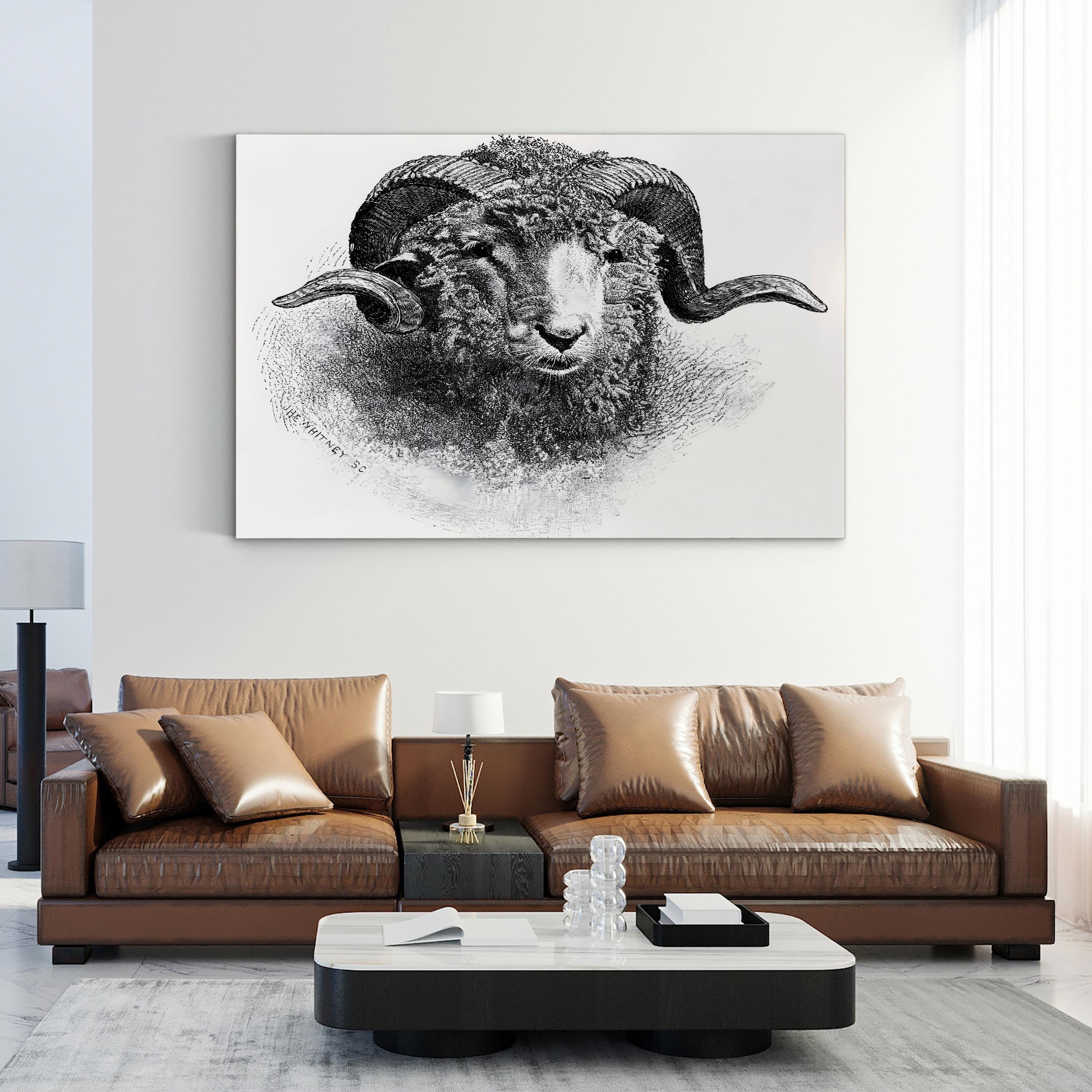Head of a Merino Ram, 19th Century Wall Art | Vintage Black and White Animal Engraving Print