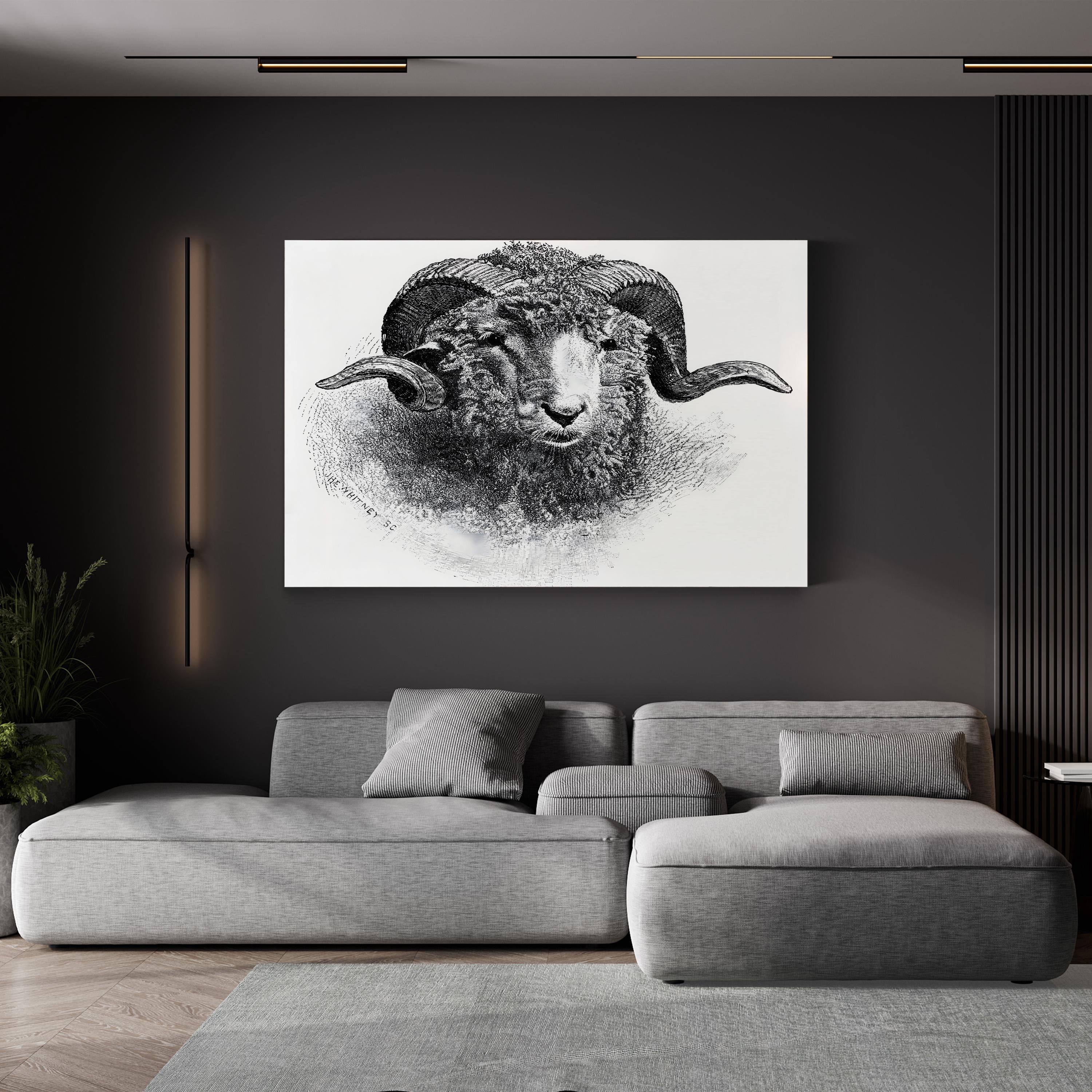 Head of a Merino Ram, 19th Century Wall Art | Vintage Black and White Animal Engraving Print