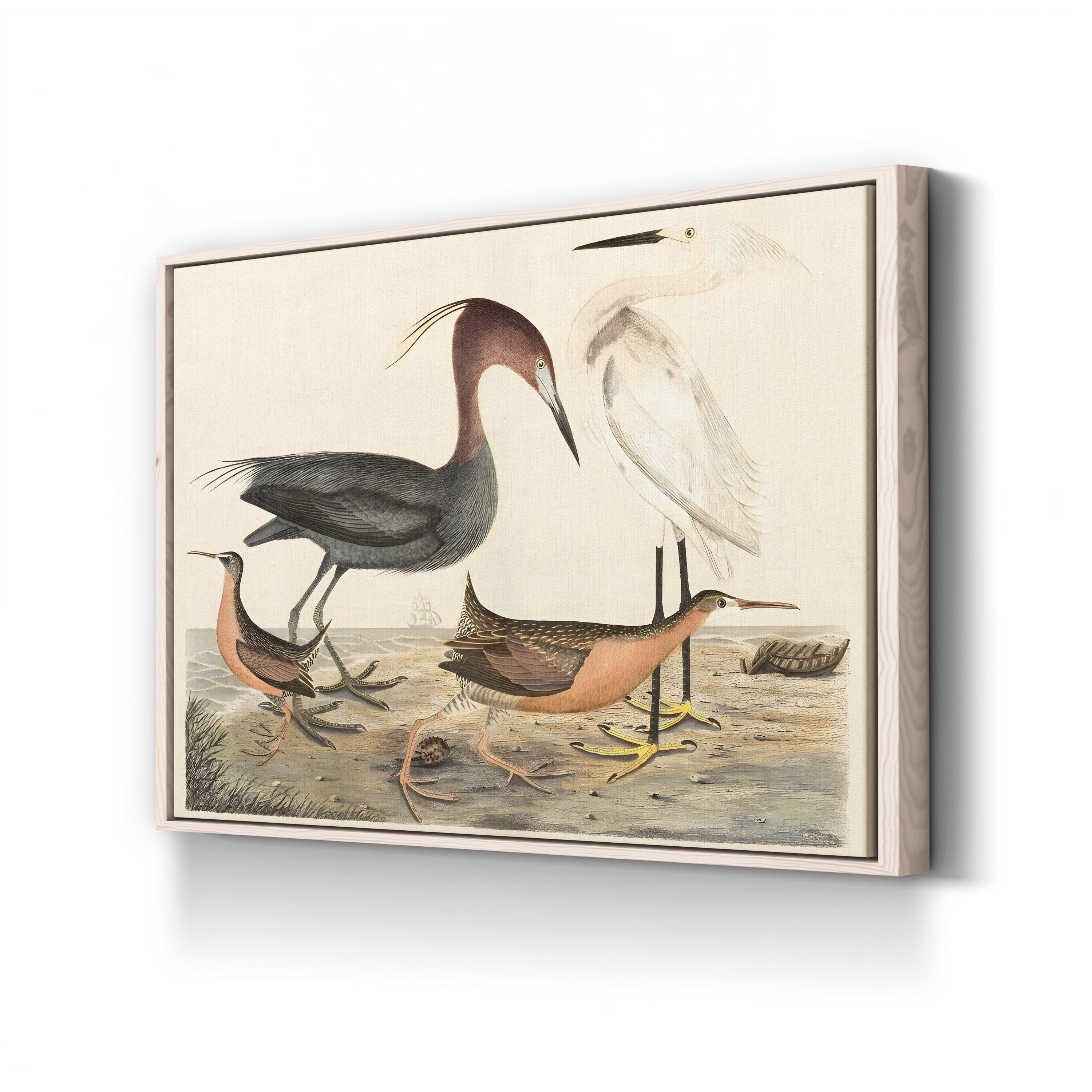 Heron Family – Alexander Wilson Wall Art | Coastal Bird Canvas Print