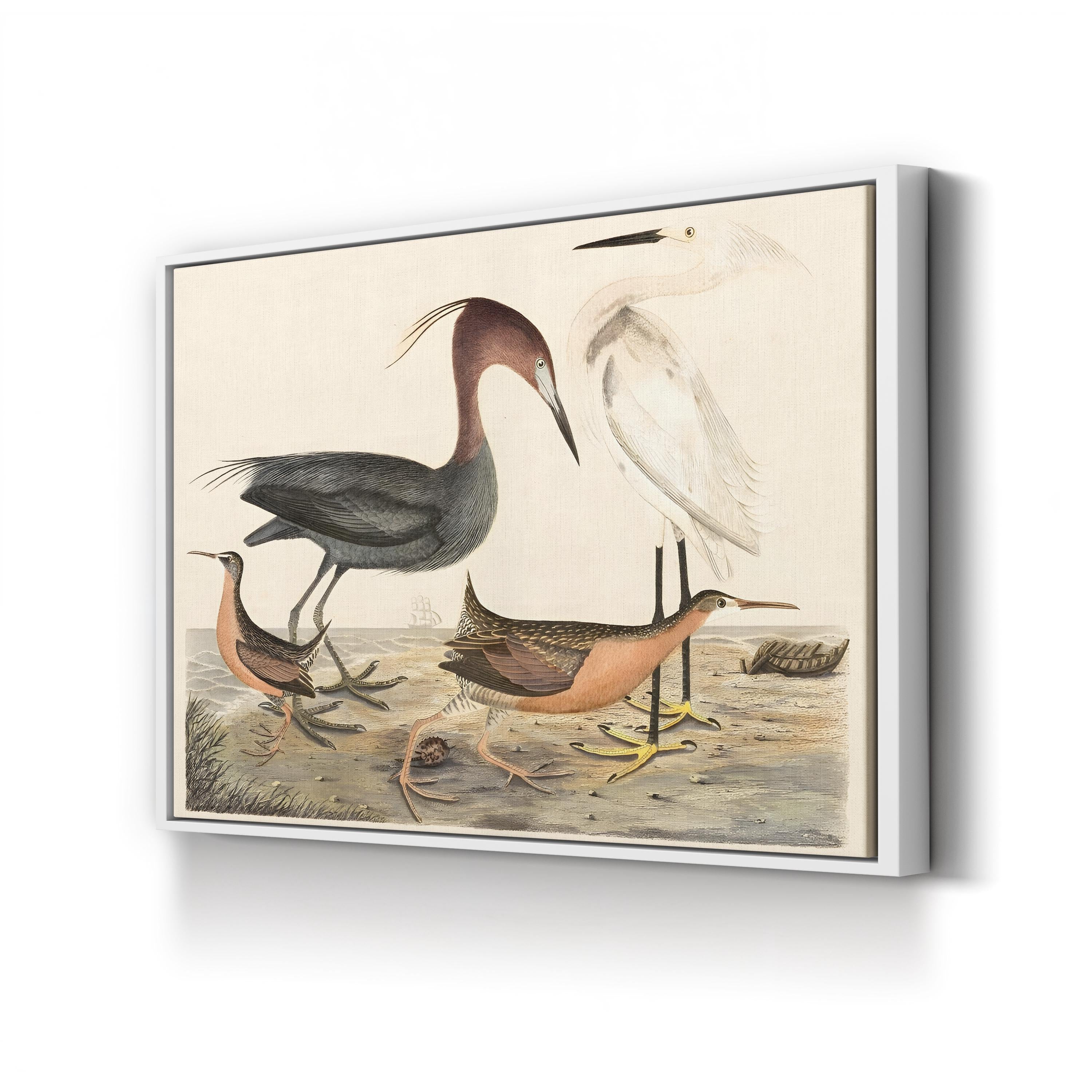 Heron Family – Alexander Wilson Wall Art | Coastal Bird Canvas Print