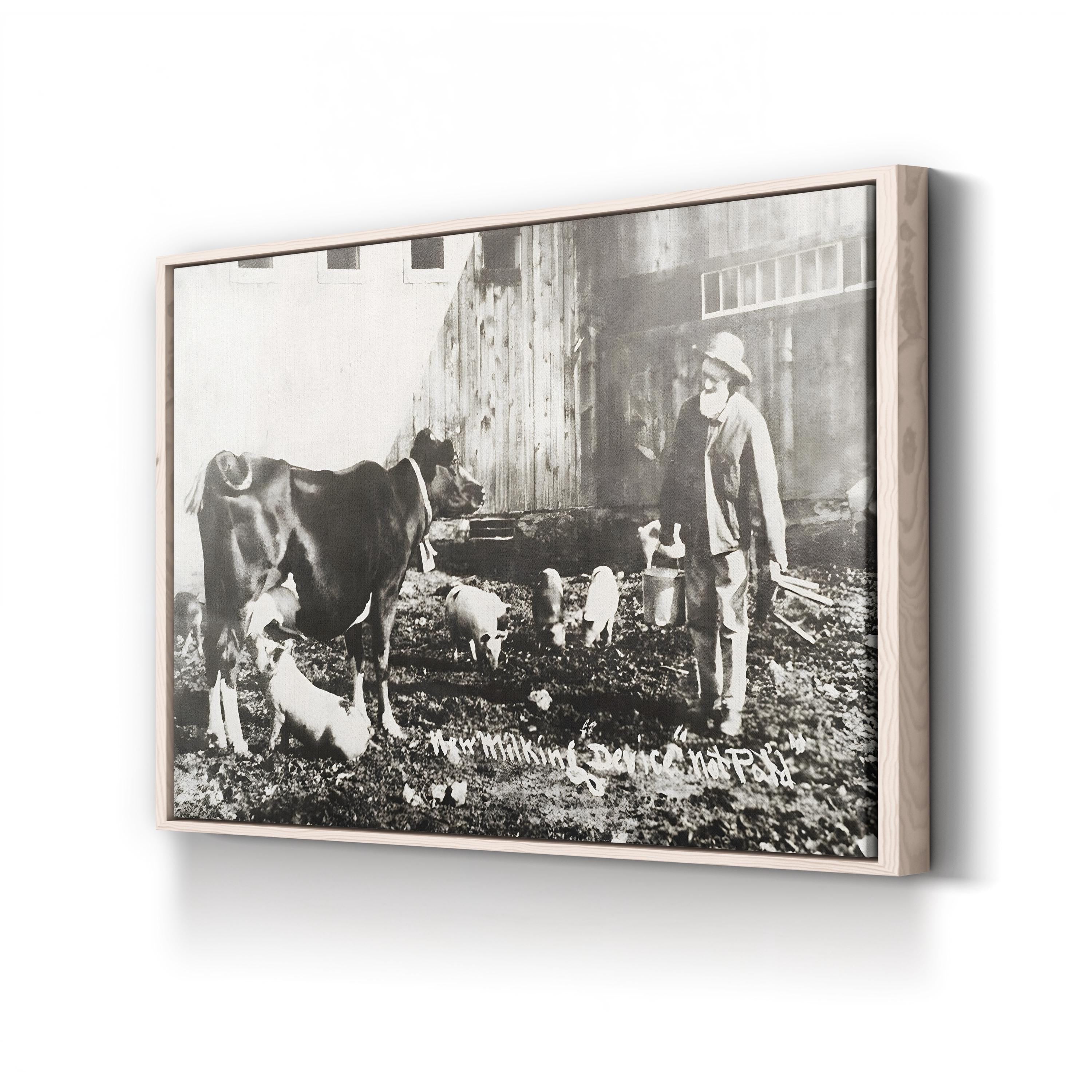 19th Century Farm Life Wall Art – Piglet Nursing from Cow Historic Photograph