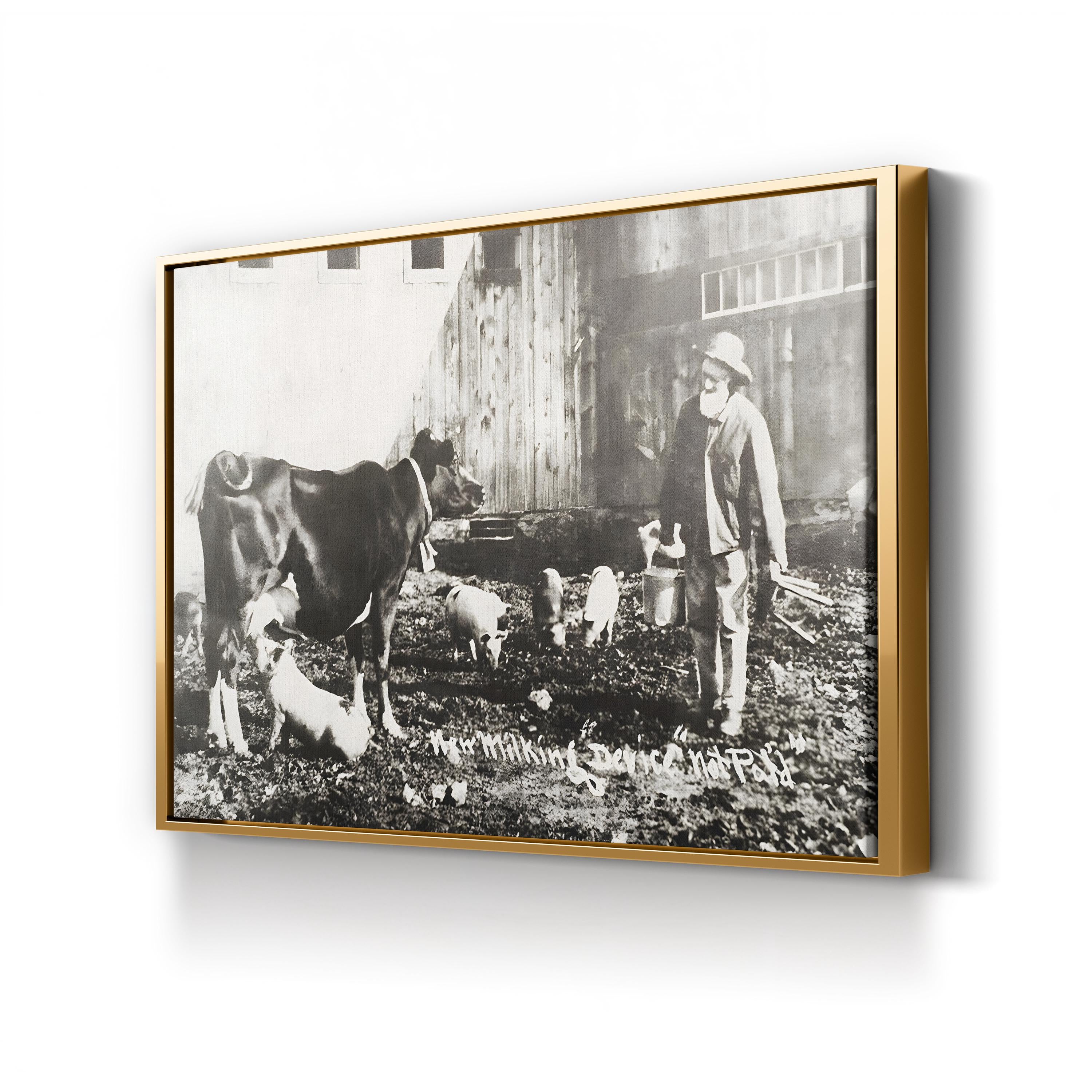 19th Century Farm Life Wall Art – Piglet Nursing from Cow Historic Photograph