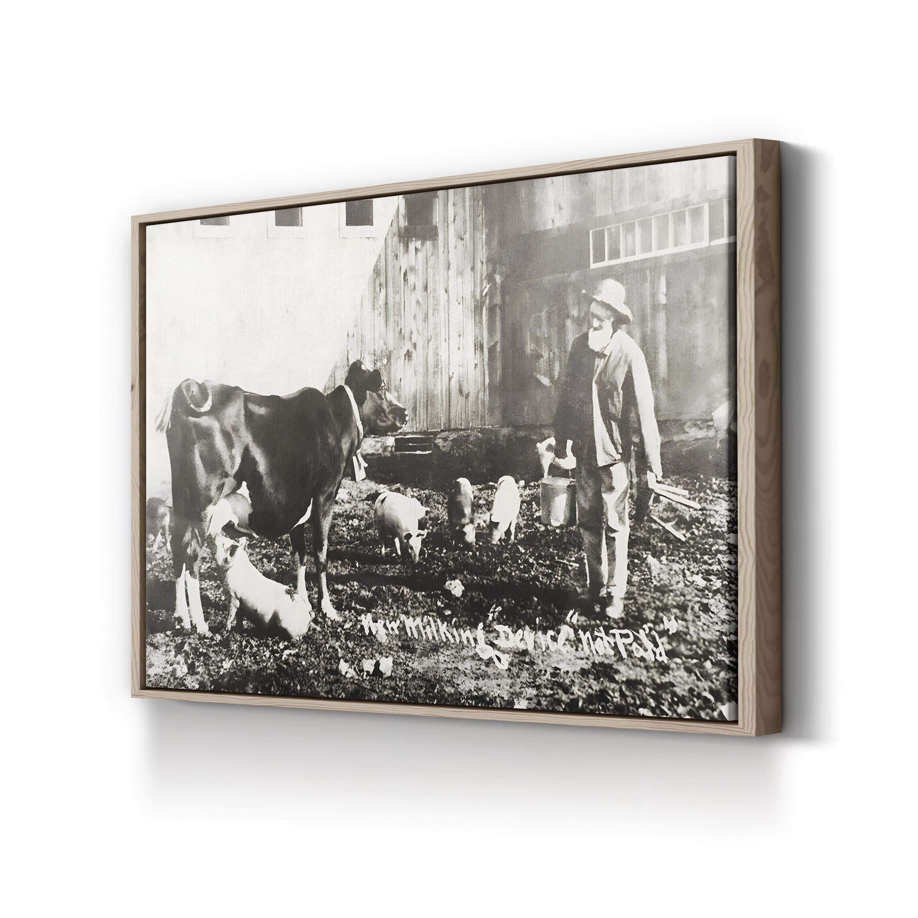 19th Century Farm Life Wall Art – Piglet Nursing from Cow Historic Photograph
