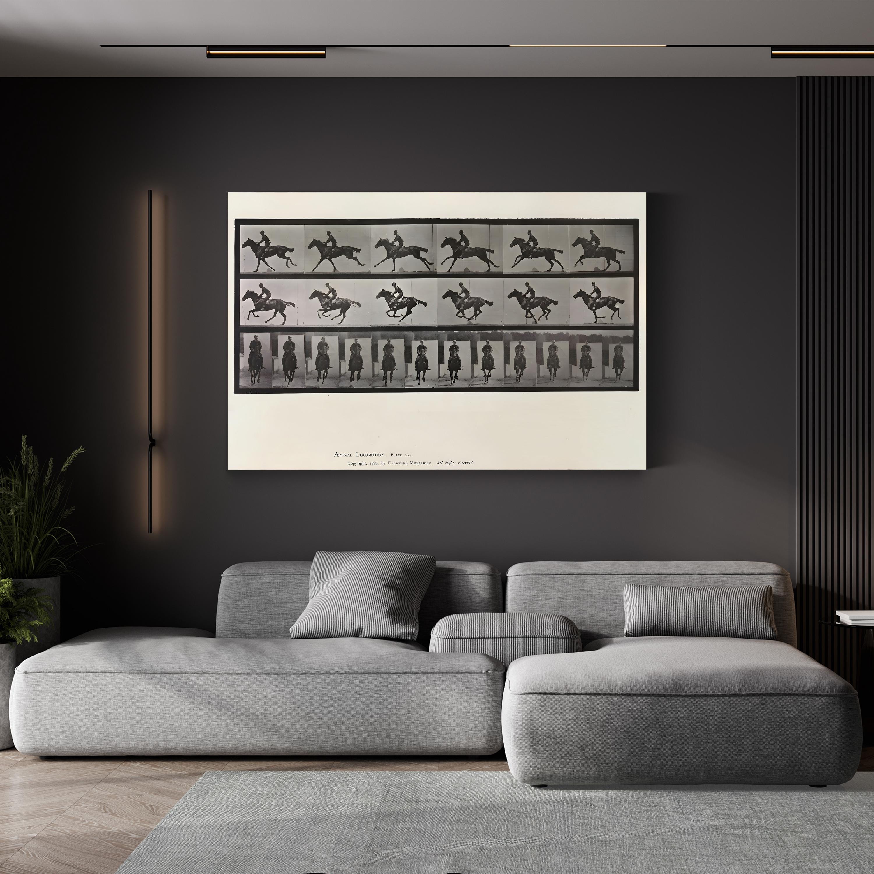 Galloping Horse Motion Study – Eadweard Muybridge Wall Art | Black & White Canvas Print