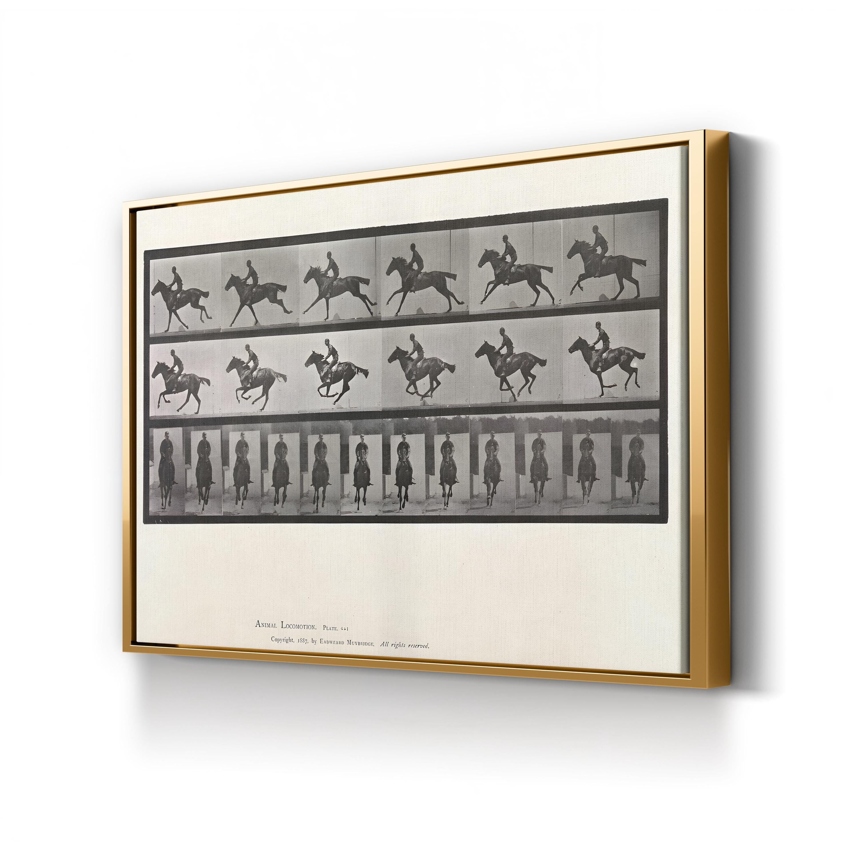 Galloping Horse Motion Study – Eadweard Muybridge Wall Art | Black & White Canvas Print