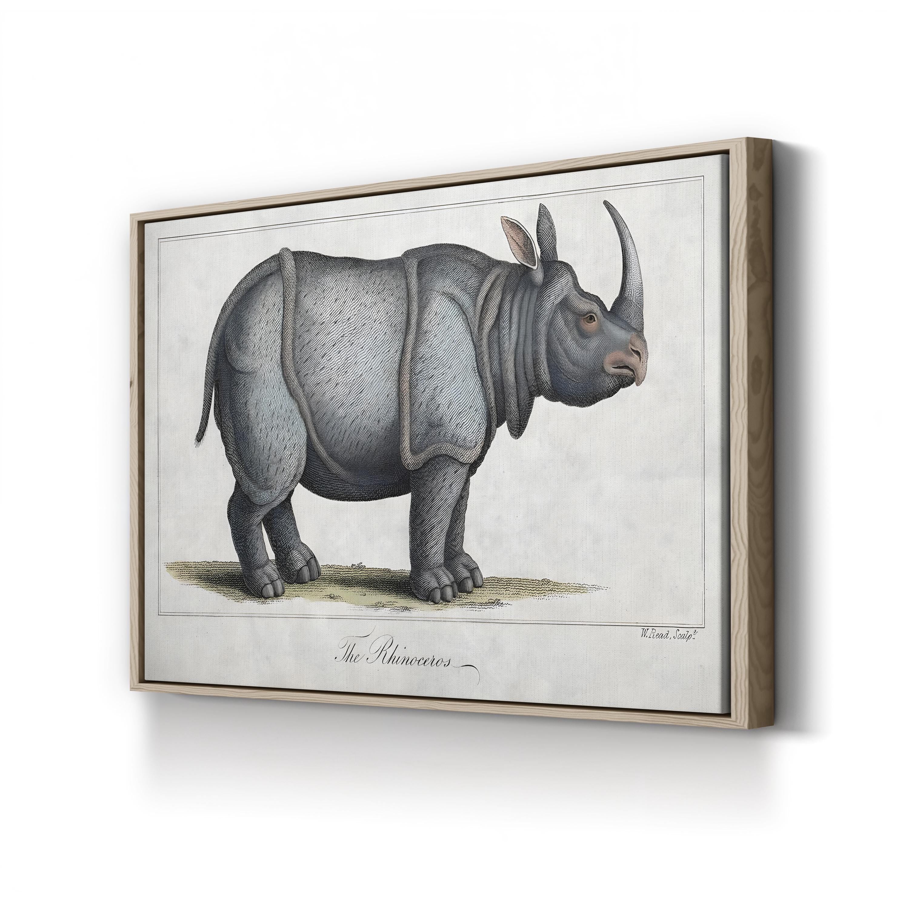 Vintage Rhinoceros Engraving – Period Illustration Wall Art | Antique Wildlife Canvas Print