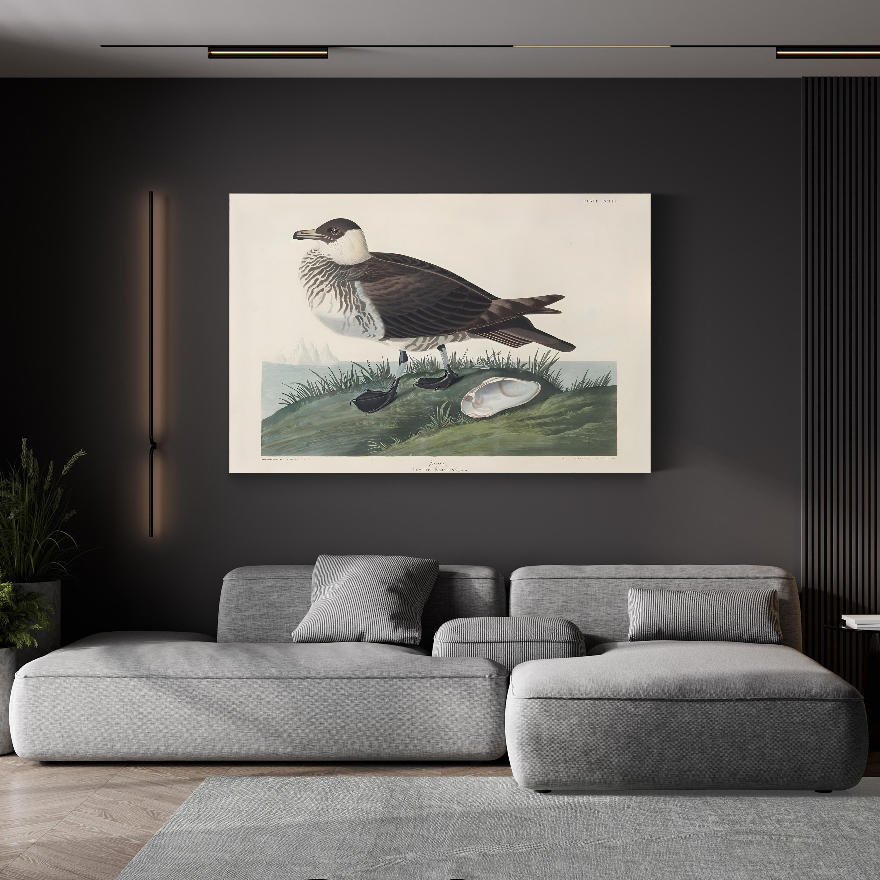 Pomarine Jager, by John James Audubon canvas print displayed above a gray sofa