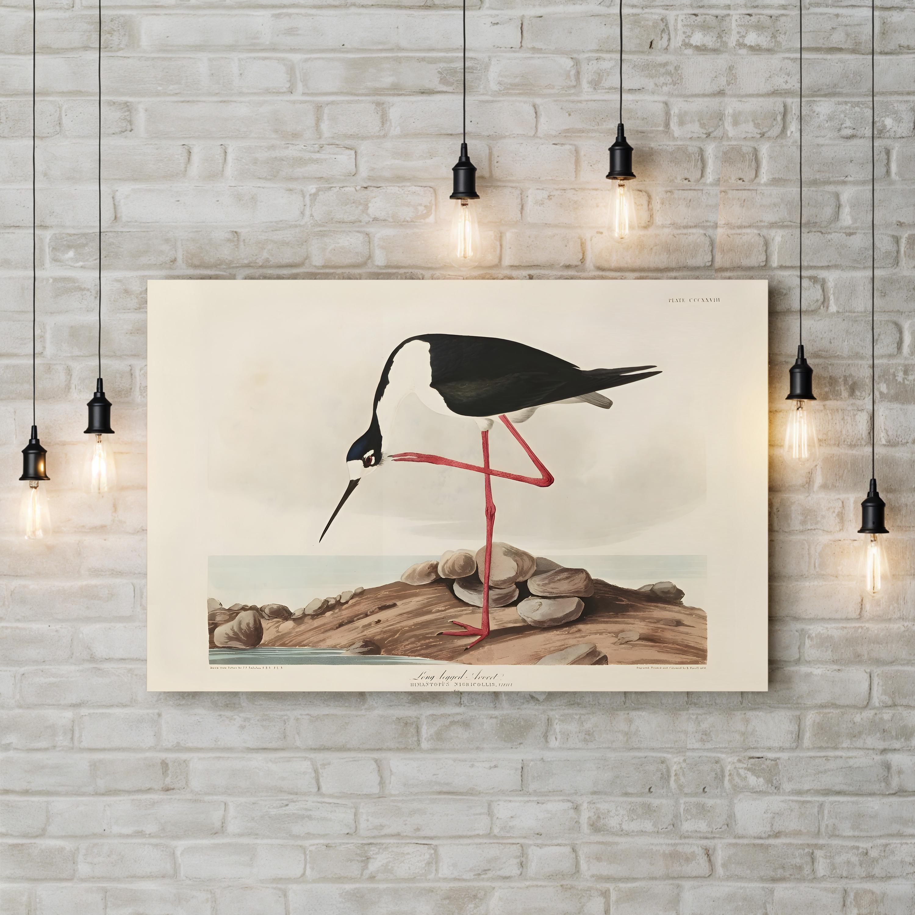 Framed artwork of a long-legged avocet bird on a stone wall with hanging lights.