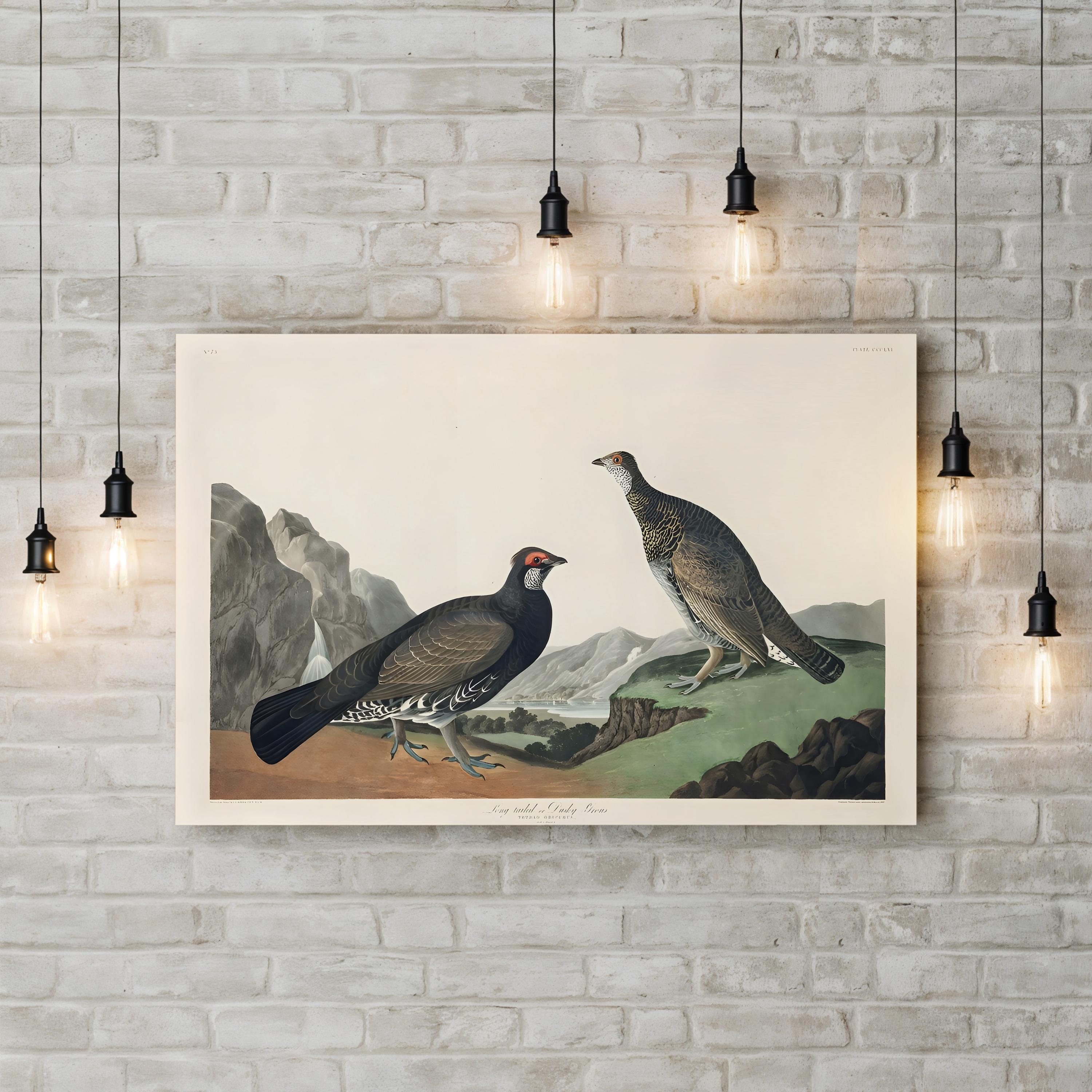 Long-Tailed or Dusky Grouse Wall Art – John James Audubon | Vintage Wildlife Lithograph Canvas Print