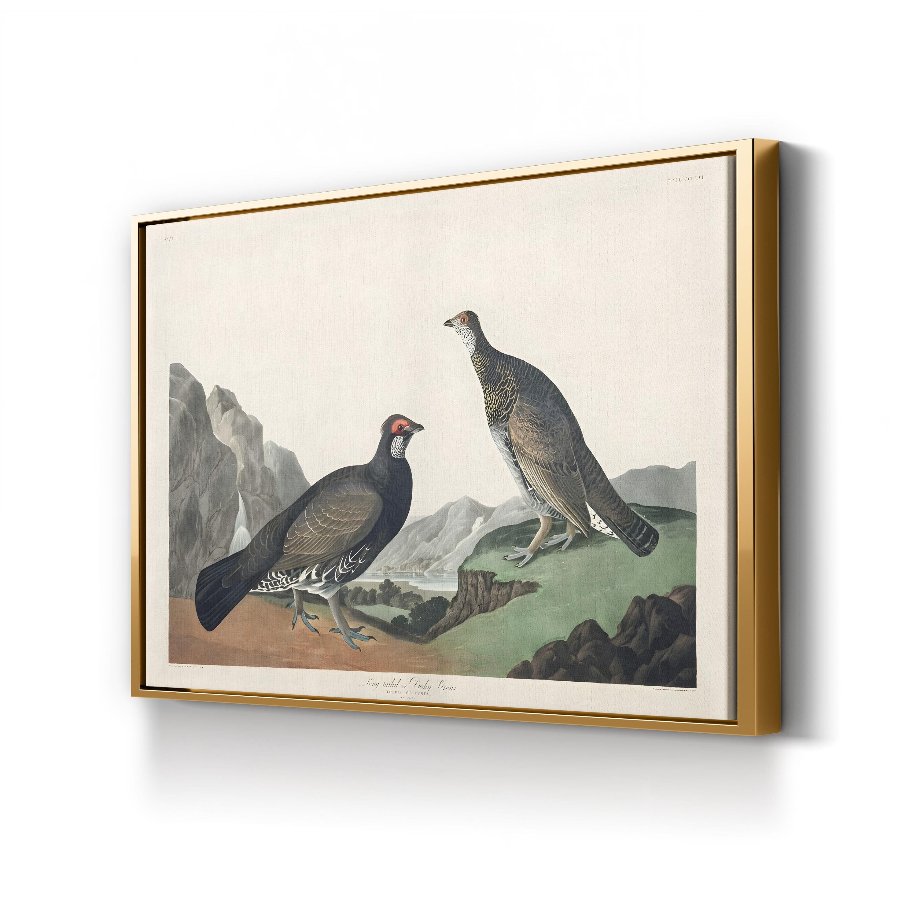 Long-Tailed or Dusky Grouse Wall Art – John James Audubon | Vintage Wildlife Lithograph Canvas Print