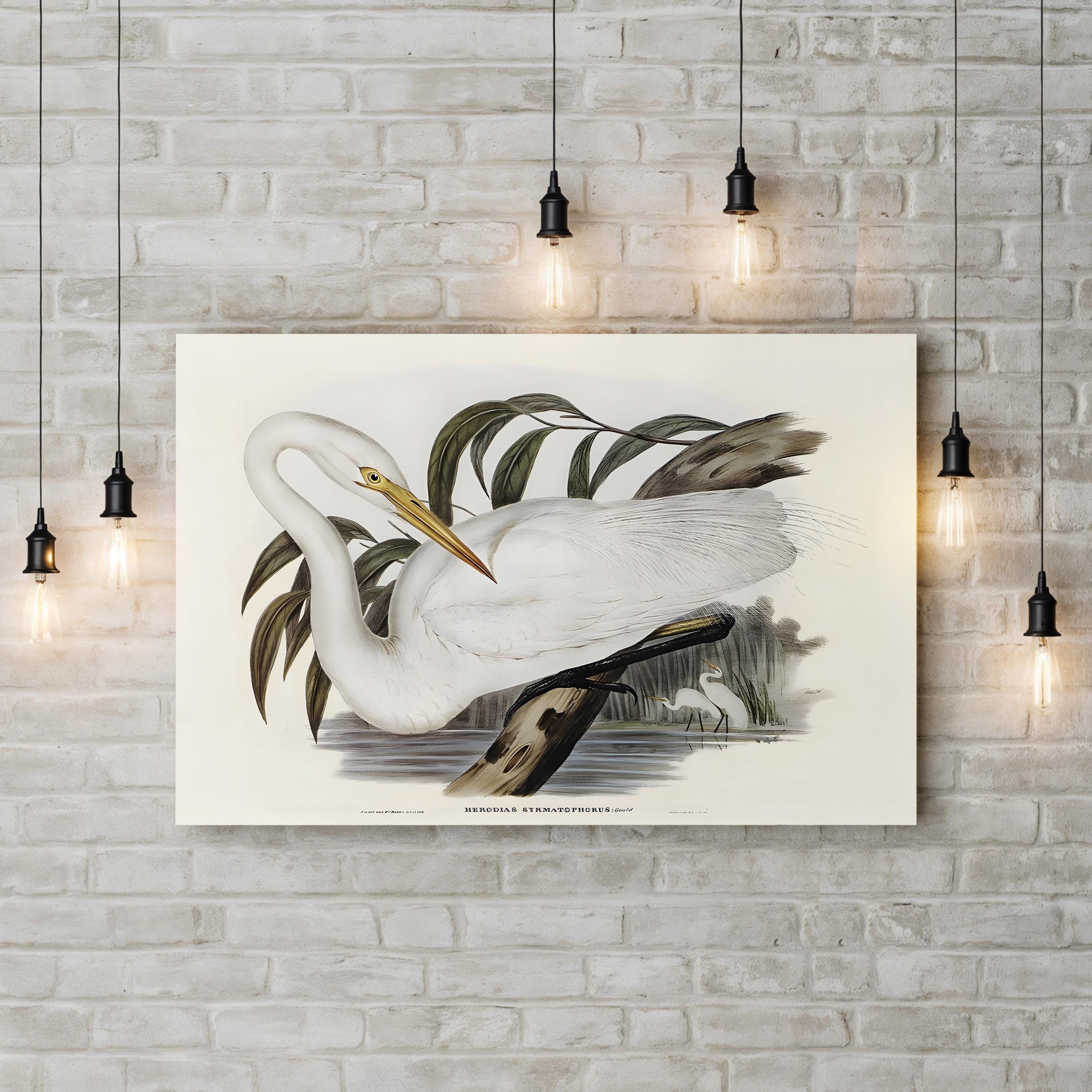 Majestic Waterbird I Wall Art by Elizabeth Gould