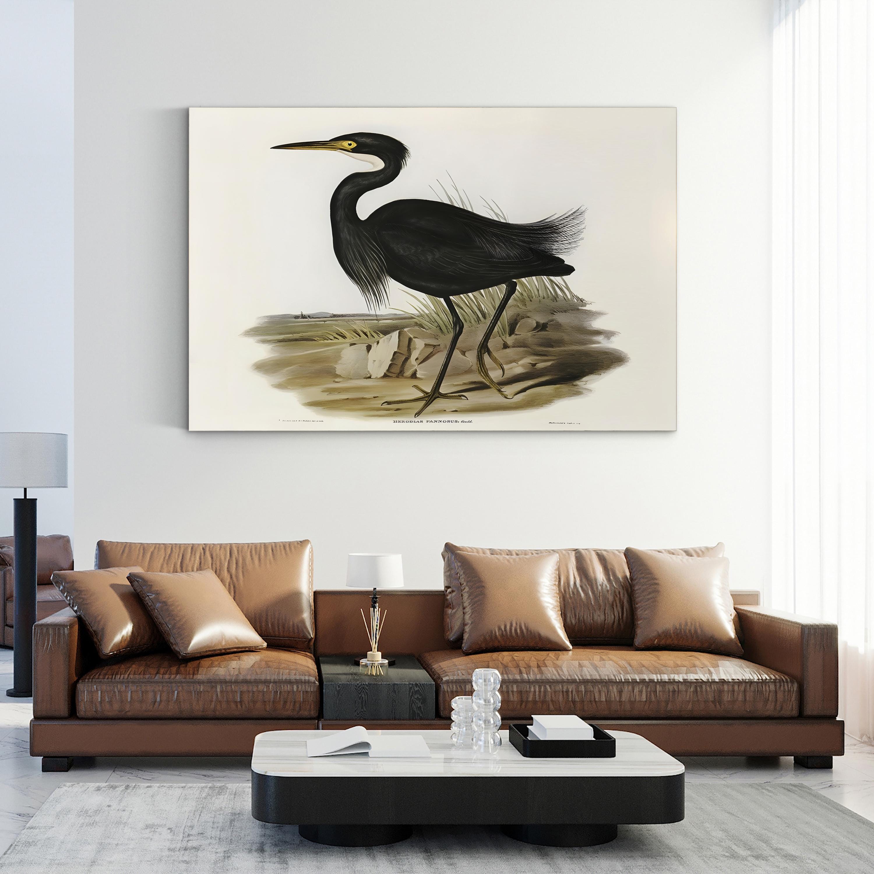 Majestic Waterbird IV Wall Art by Elizabeth Gould – Vintage Ornithological Bird Canvas Print