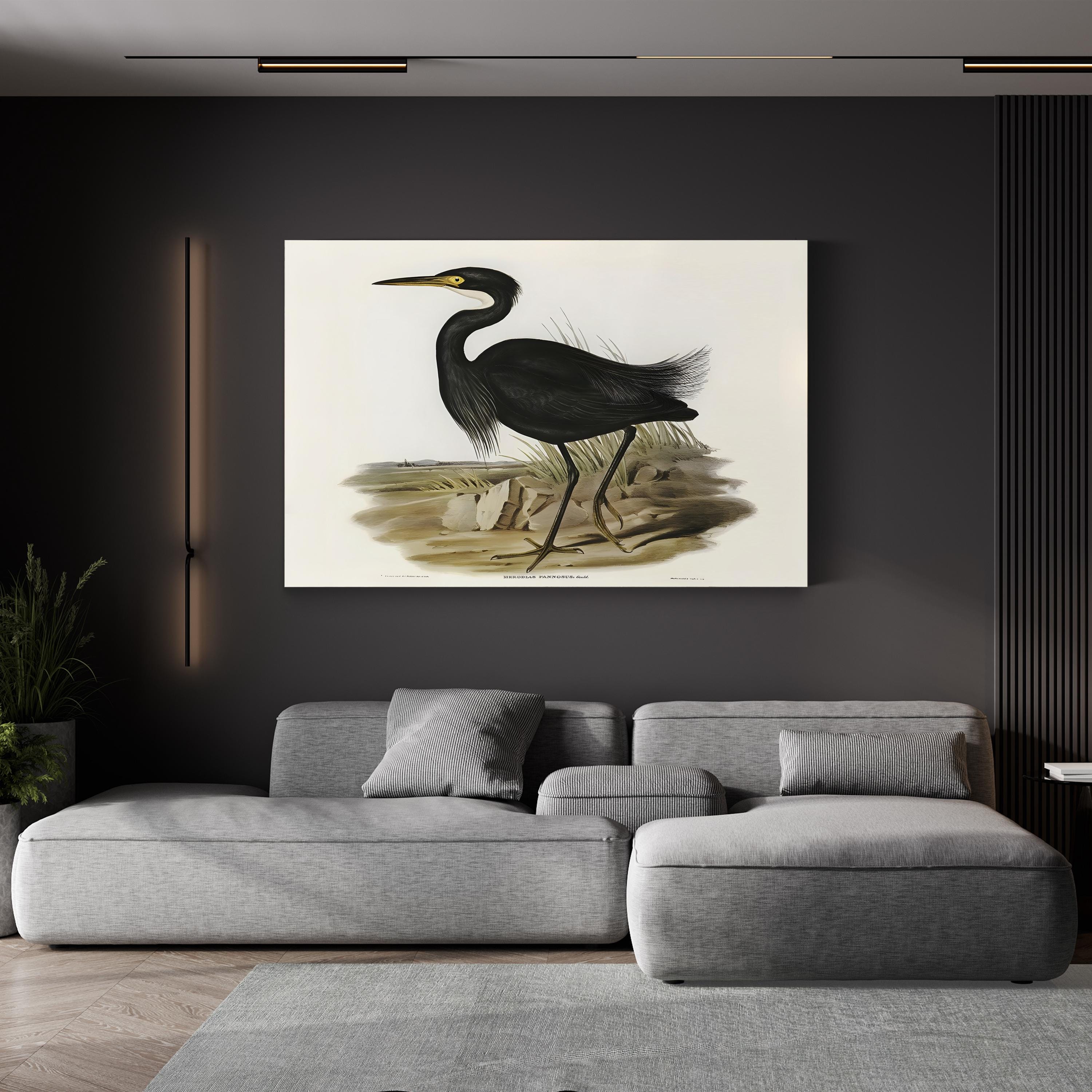 Majestic Waterbird IV Wall Art by Elizabeth Gould – Vintage Ornithological Bird Canvas Print