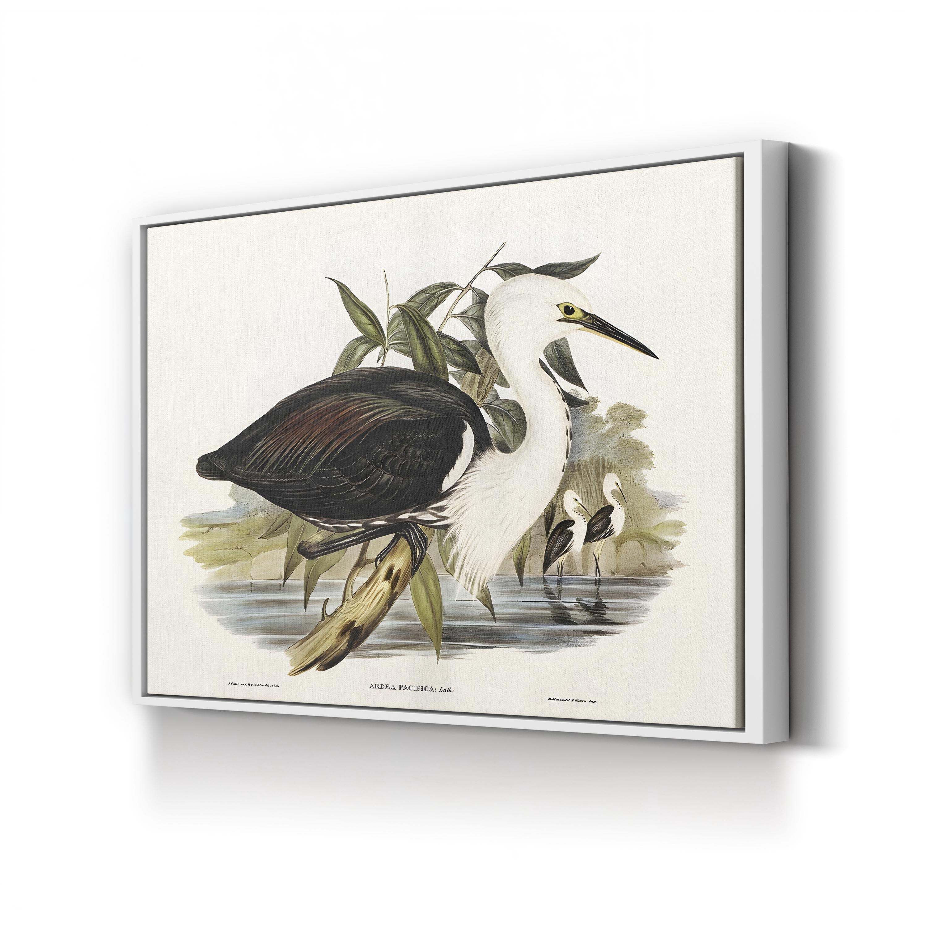 Majestic Waterbird V by Elizabeth Gould