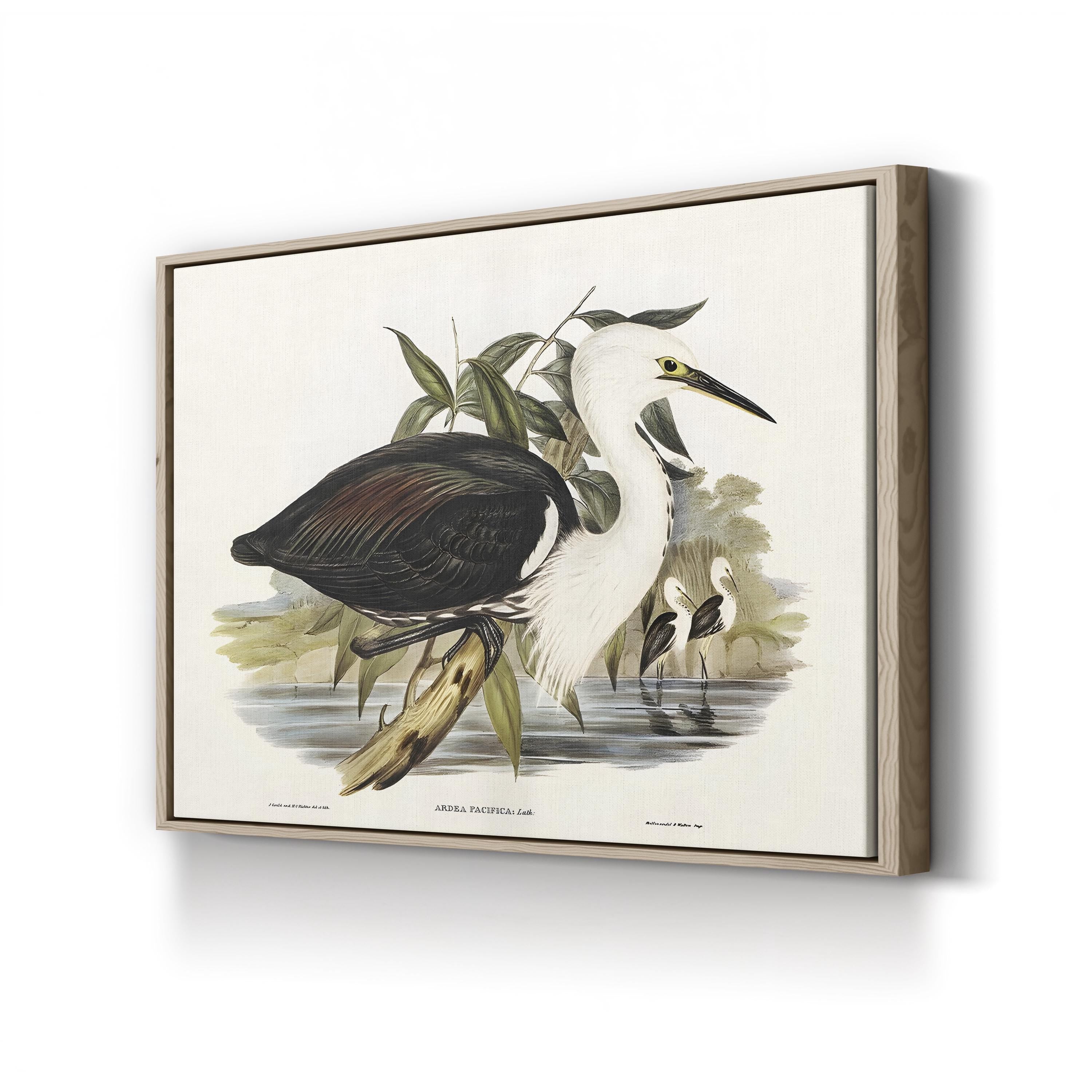 Majestic Waterbird V by Elizabeth Gould