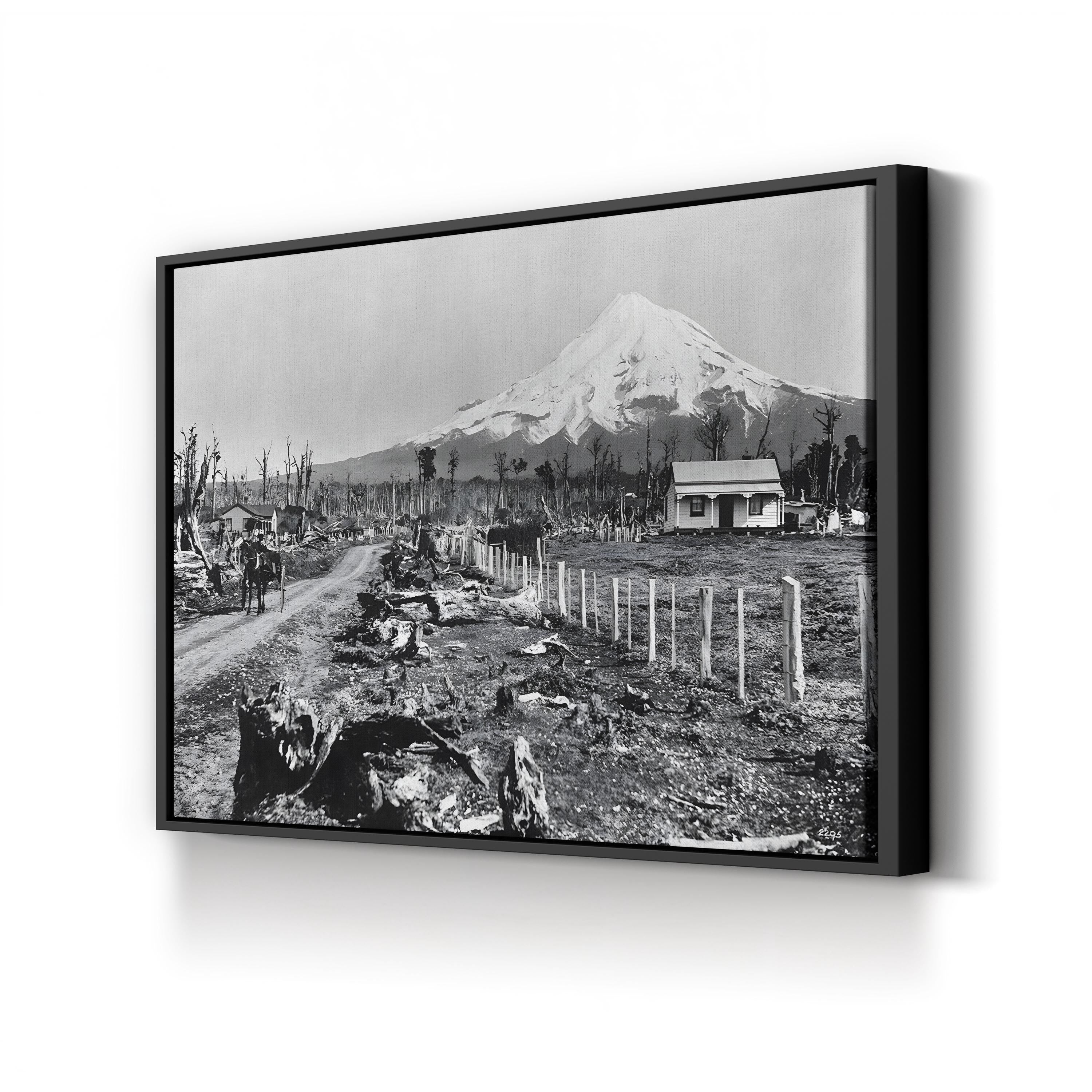 Mount Taranaki, New Zealand c.1910 – Vintage Photography Wall Art | Landscape Canvas Print