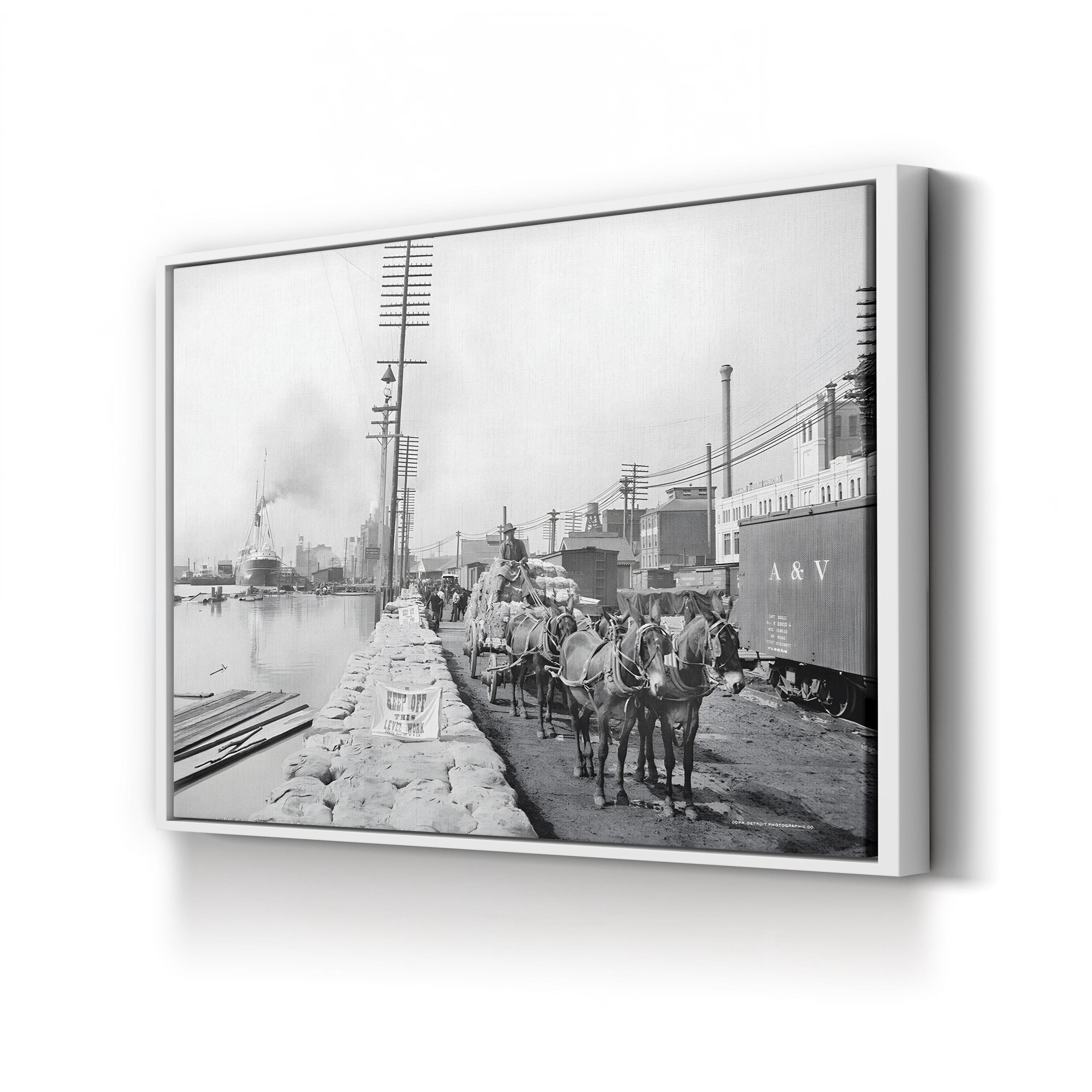 New Orleans Mule Team on the Levee, c. 1903 canvas print in a white frame