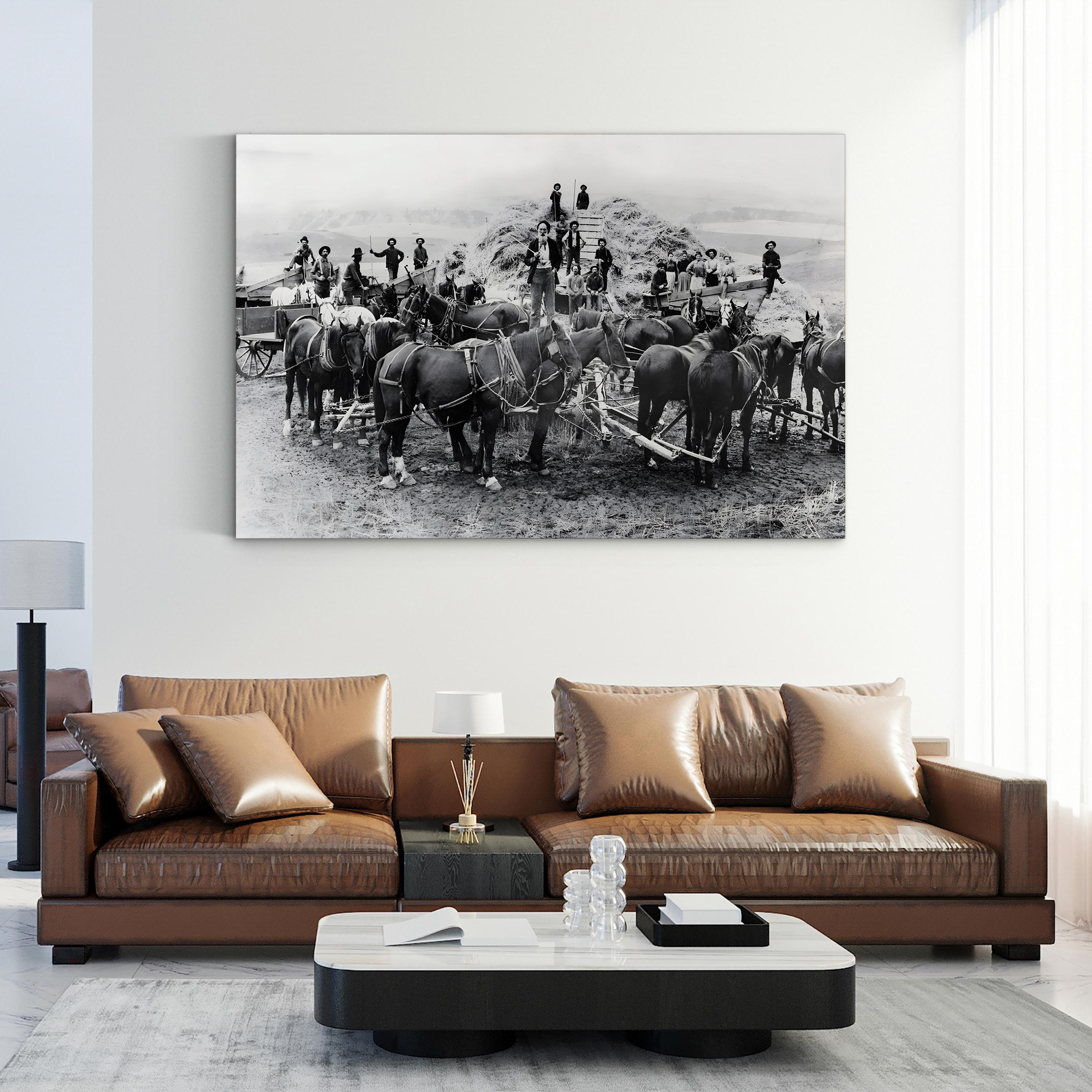 Oregon Wheat Harvest c.1880 – Vintage Photography Wall Art | Western Frontier Canvas Print