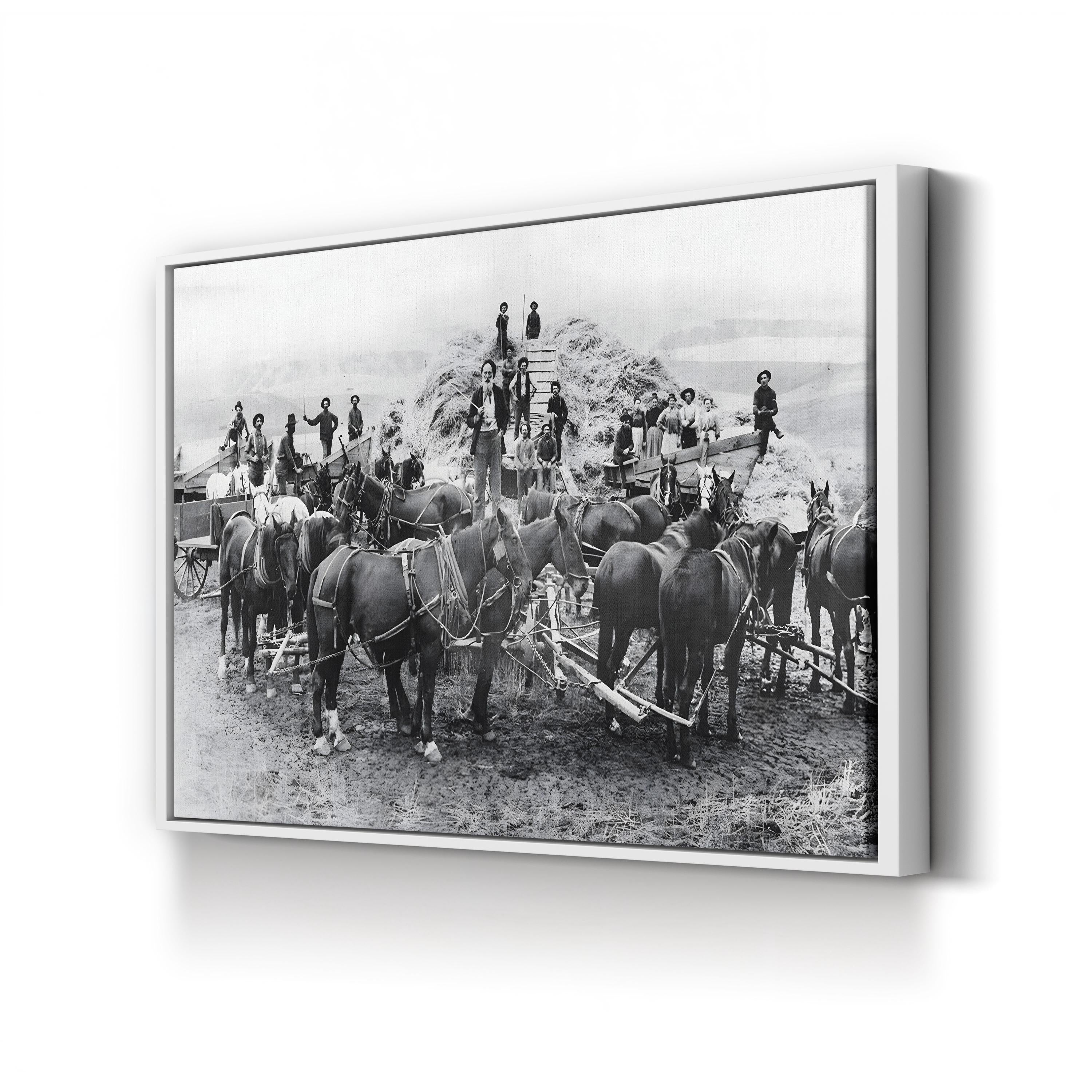Oregon Wheat Harvest c.1880 – Vintage Photography Wall Art | Western Frontier Canvas Print