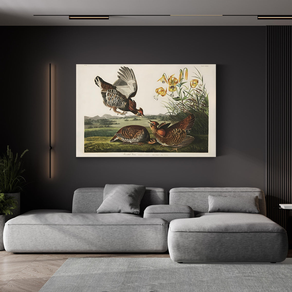 Pinnated Grouse, c. 1834 by John James Audubon canvas print displayed in a living room