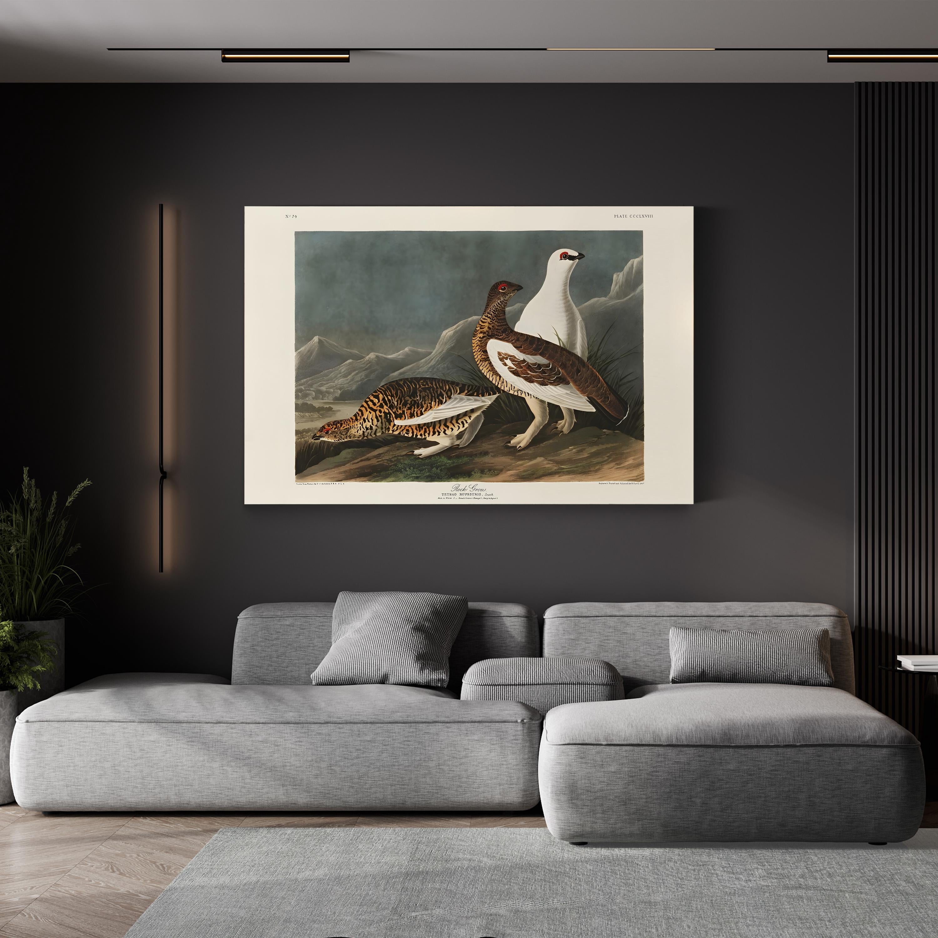 Vintage Rock Grouse – Period Illustration Wall Art | 19th-Century Wildlife Canvas Print