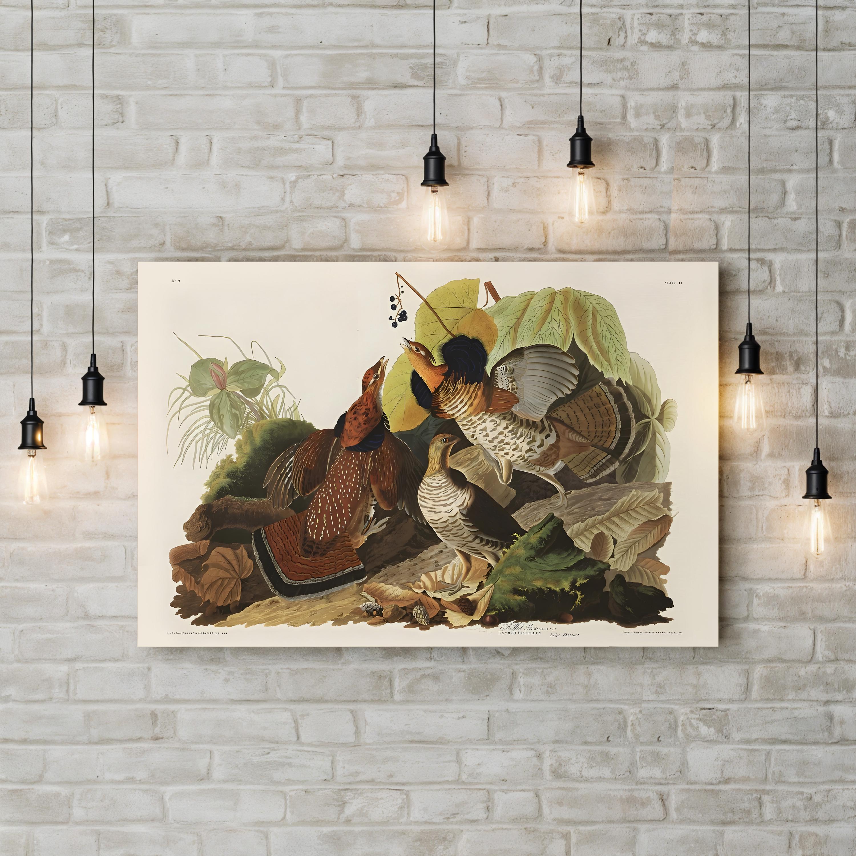 Ruffed Grouse Wall Art by John James Audubon – Classic Wildlife Illustration Canvas