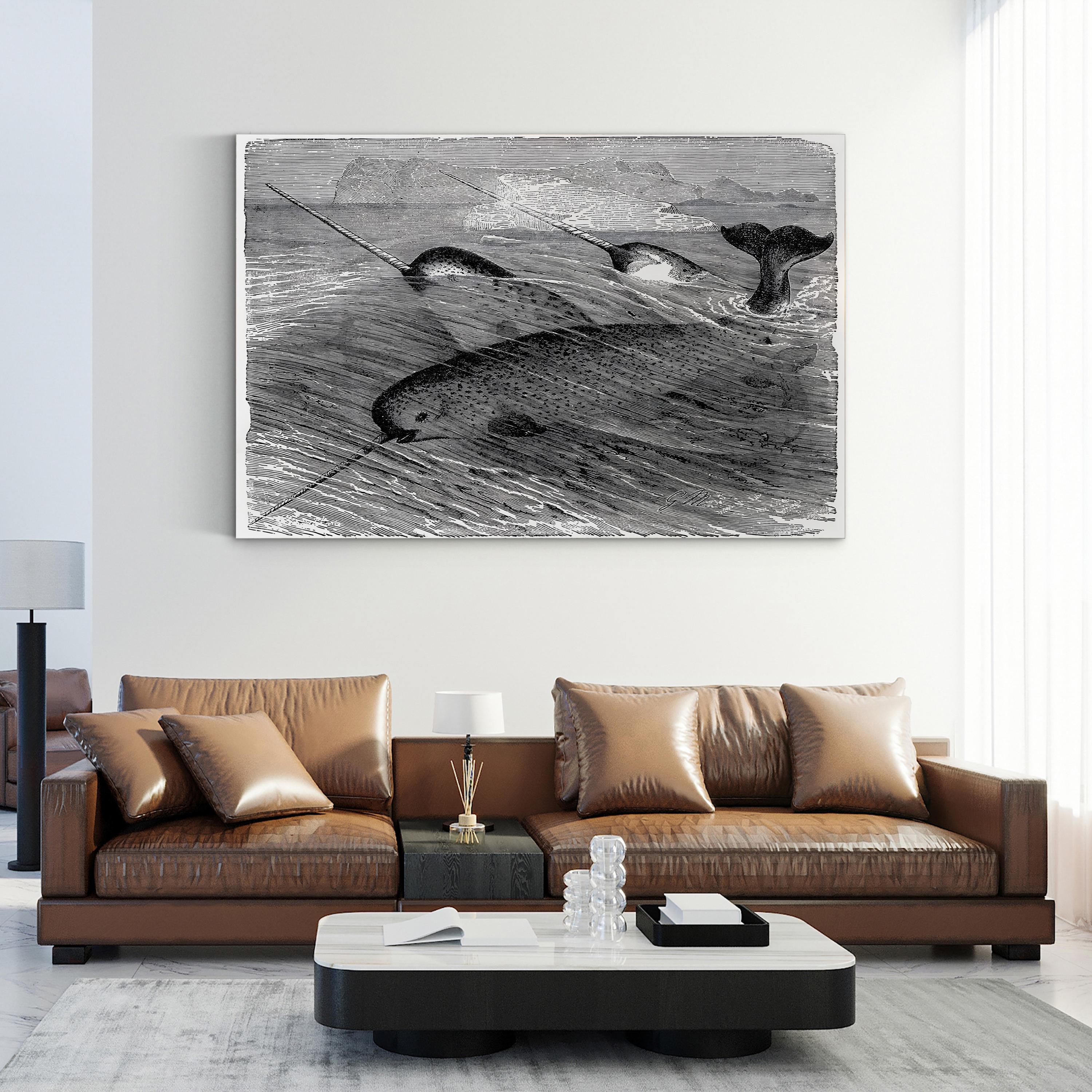 Vintage Narwhal – Period Illustration Wall Art | Black & White Ocean Wildlife Canvas Print