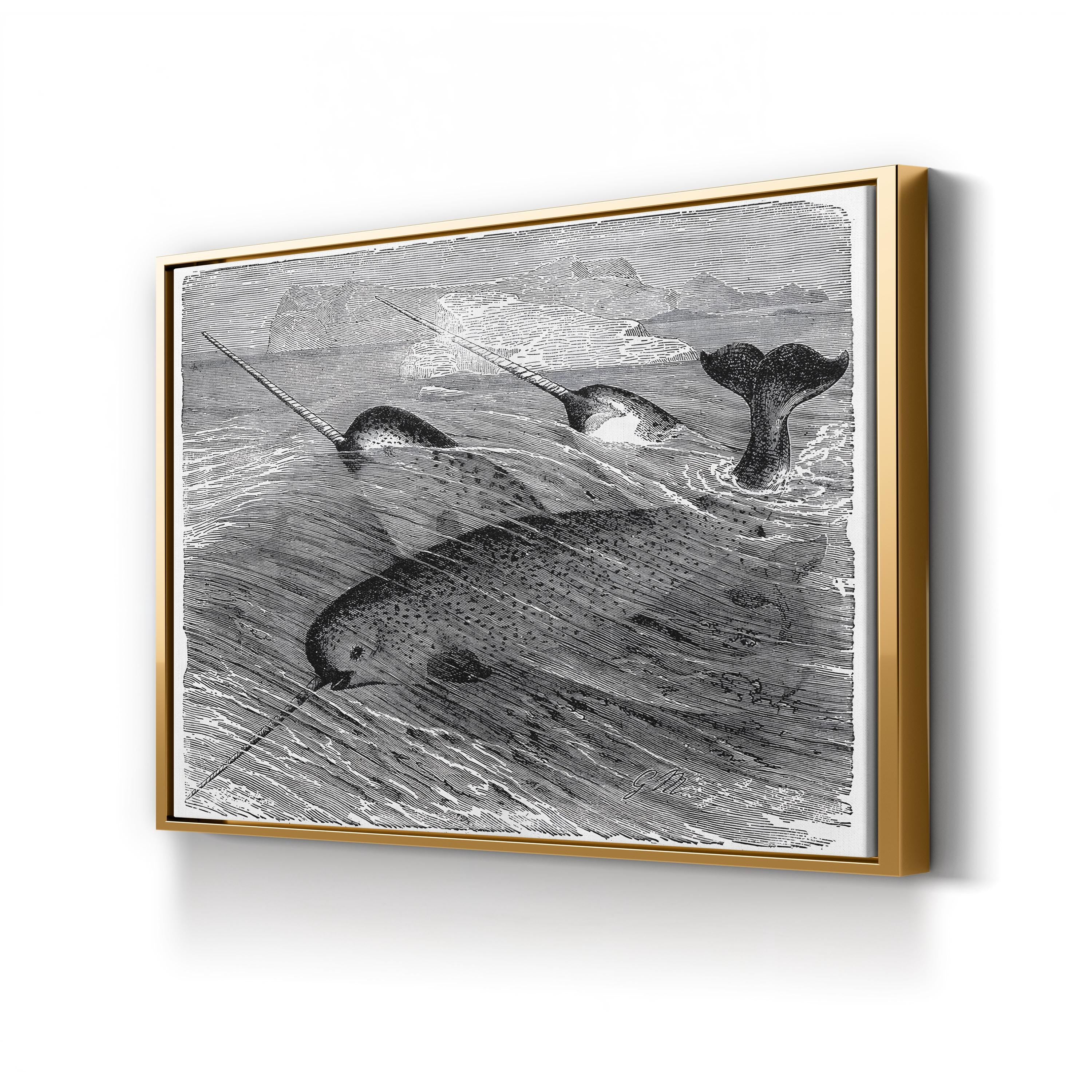 Vintage Narwhal – Period Illustration Wall Art | Black & White Ocean Wildlife Canvas Print