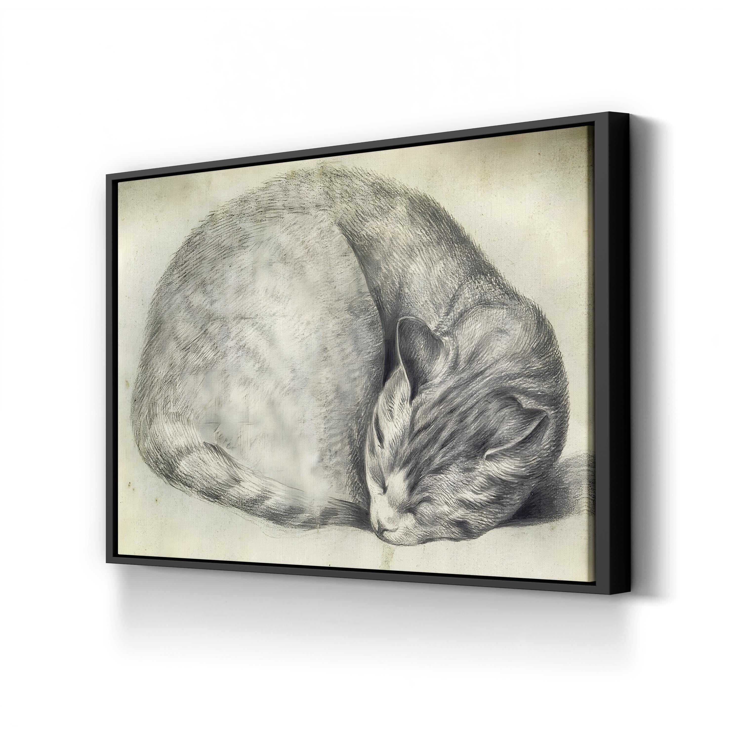 Sleeping Cat Canvas Art Print – Vintage Pencil Drawing, Animal Wall Art