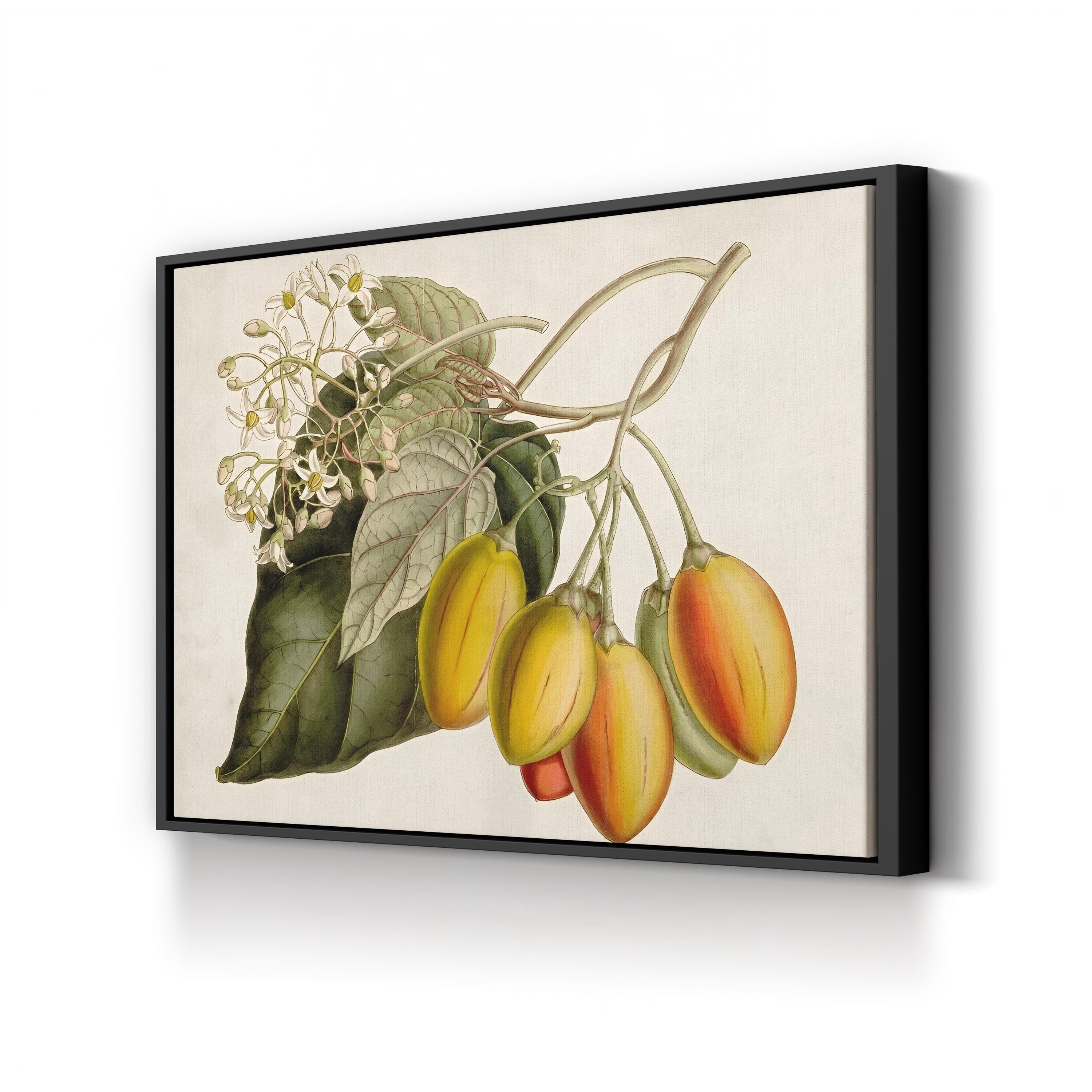 Exotic Garden Tropical Fruit & Foliage Botanical Art Print by Curtis Art