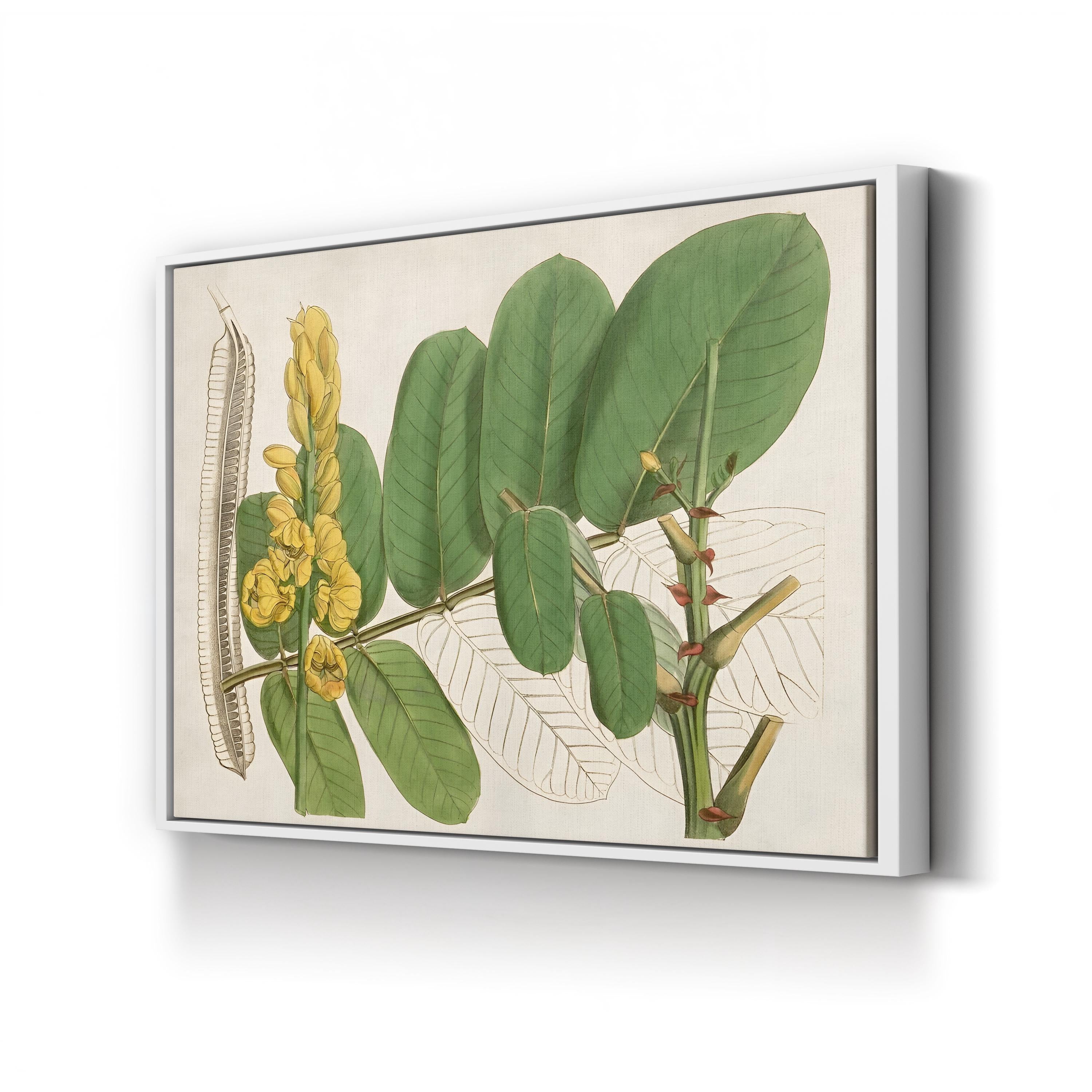 Tropical Foliage & Fruit II Canvas Print: Exotic Botanical Wall Art