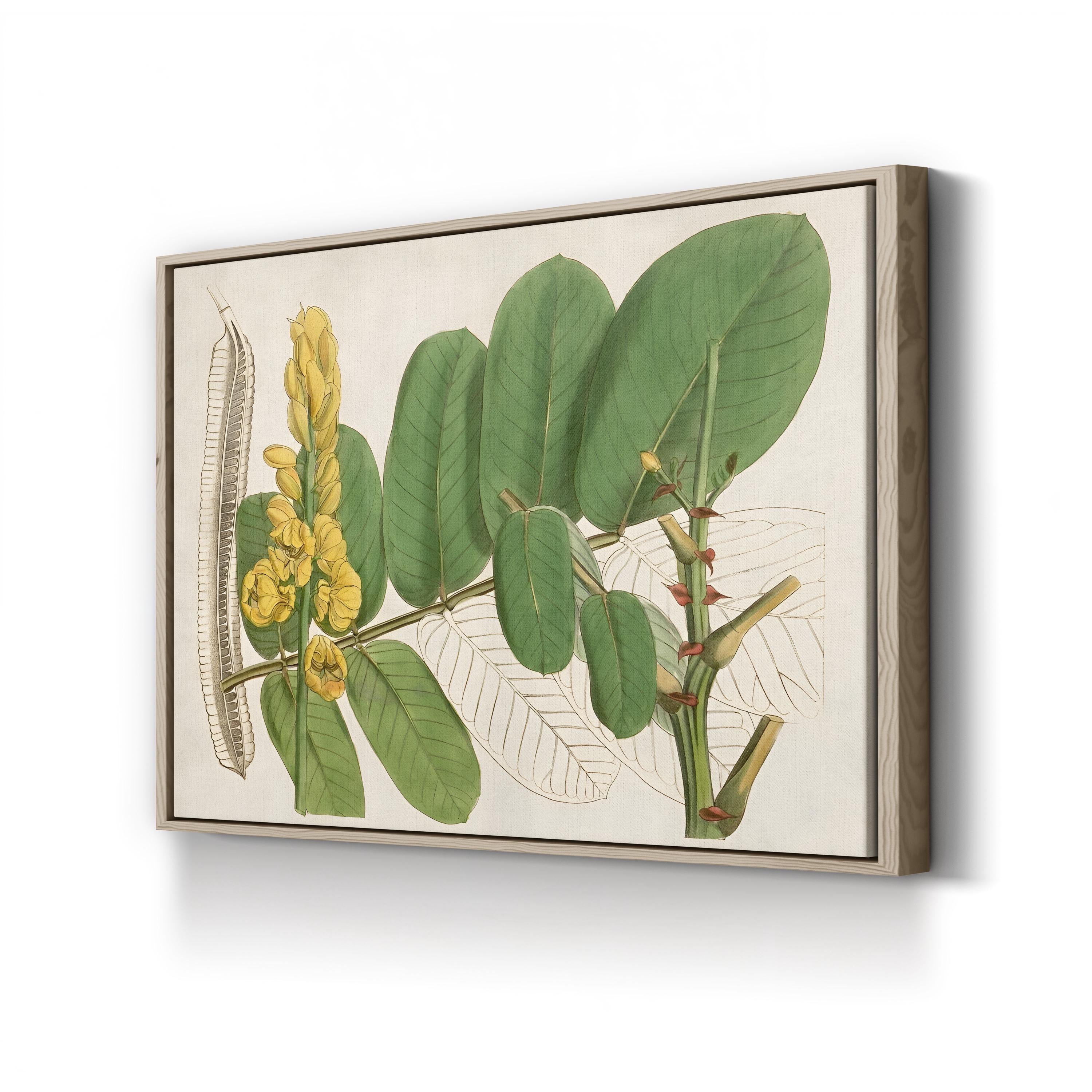 Tropical Foliage & Fruit II Canvas Print: Exotic Botanical Wall Art