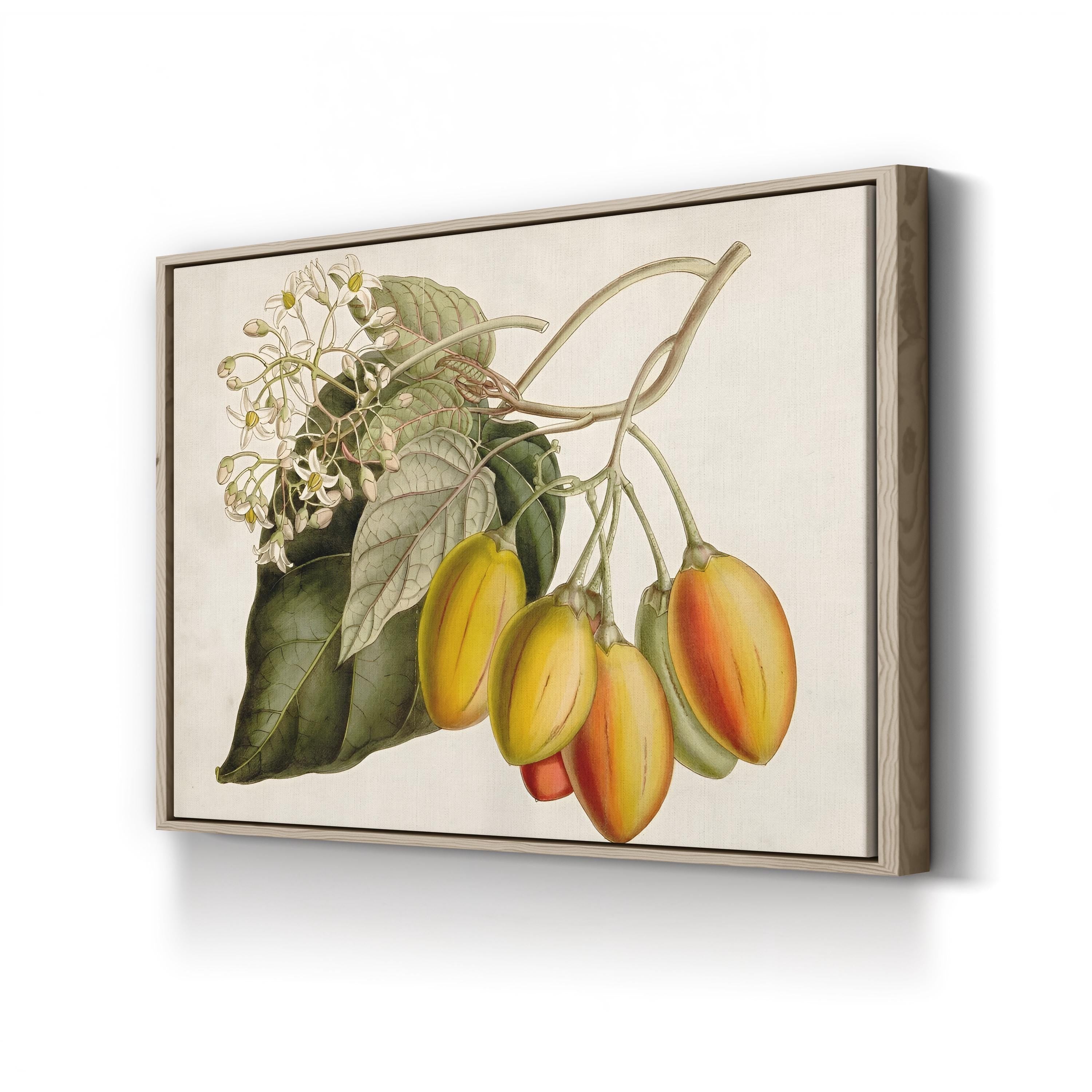 Exotic Garden Tropical Fruit & Foliage Botanical Art Print by Curtis Art