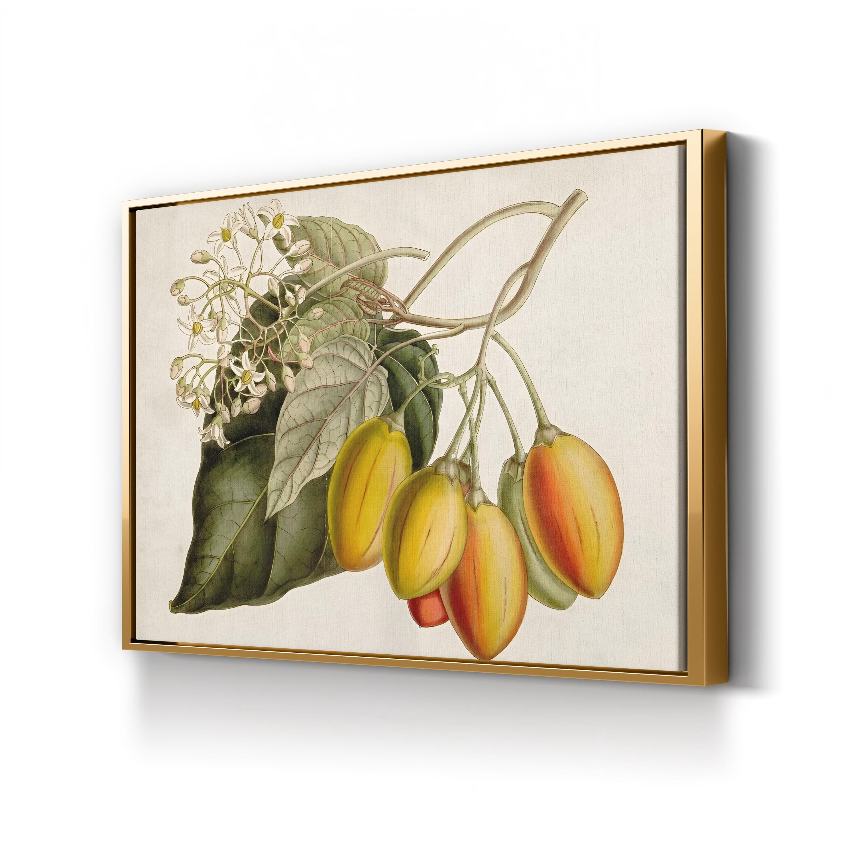 Exotic Garden Tropical Fruit & Foliage Botanical Art Print by Curtis Art