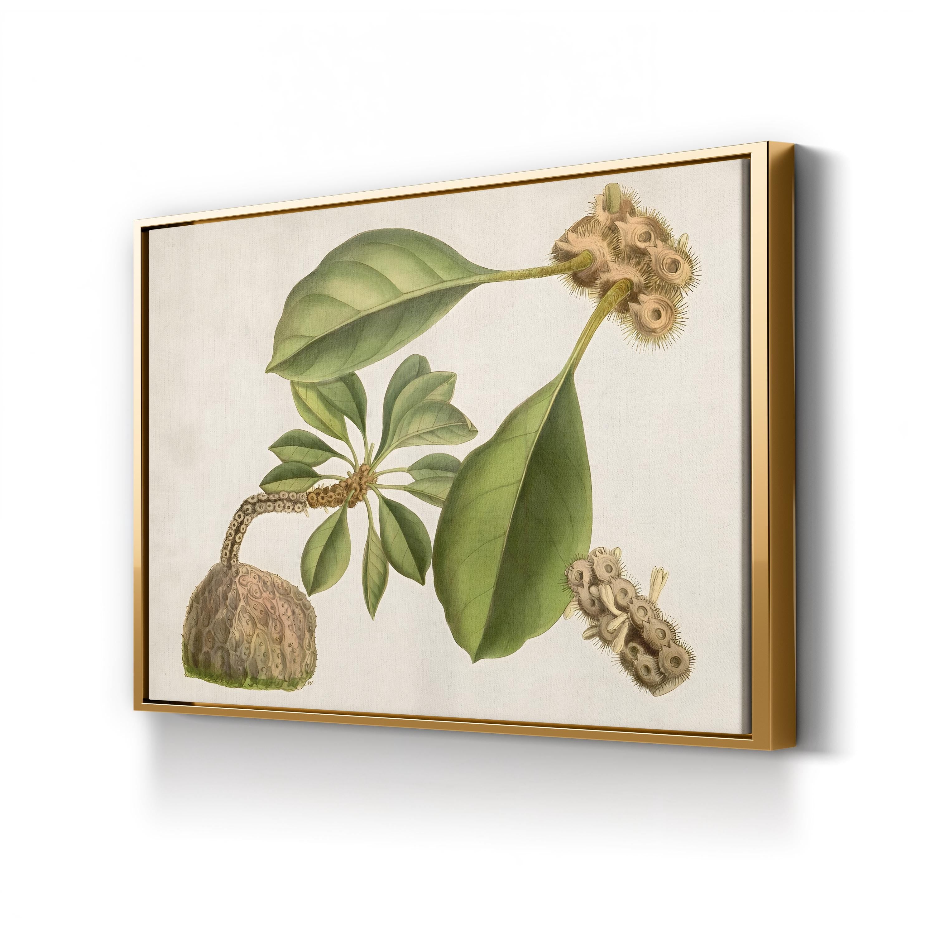 Botanical Tropical Foliage & Exotic Fruit by Curtis Art