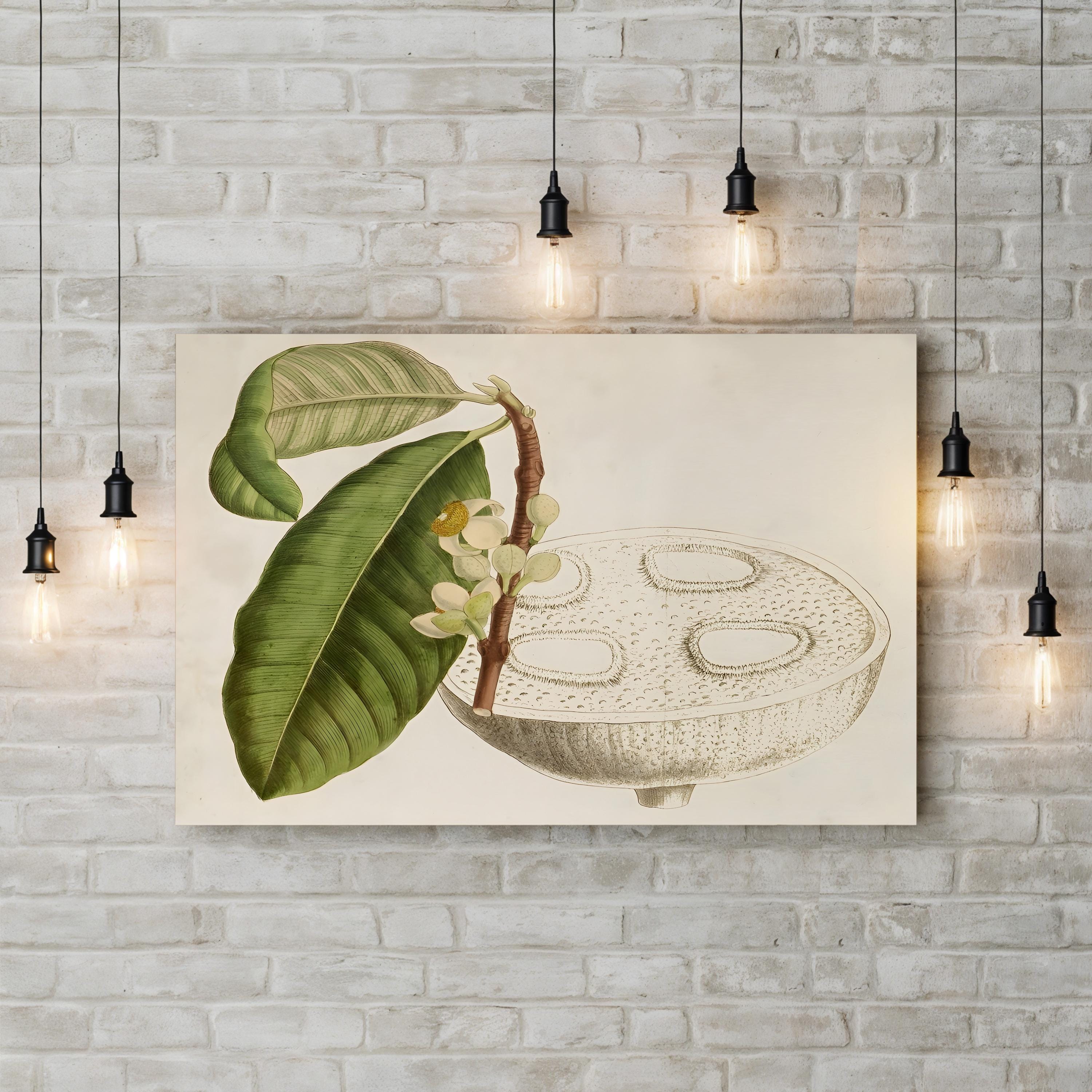Tropical Fruit Canvas Print: Vintage Botanical Foliage Wall Art