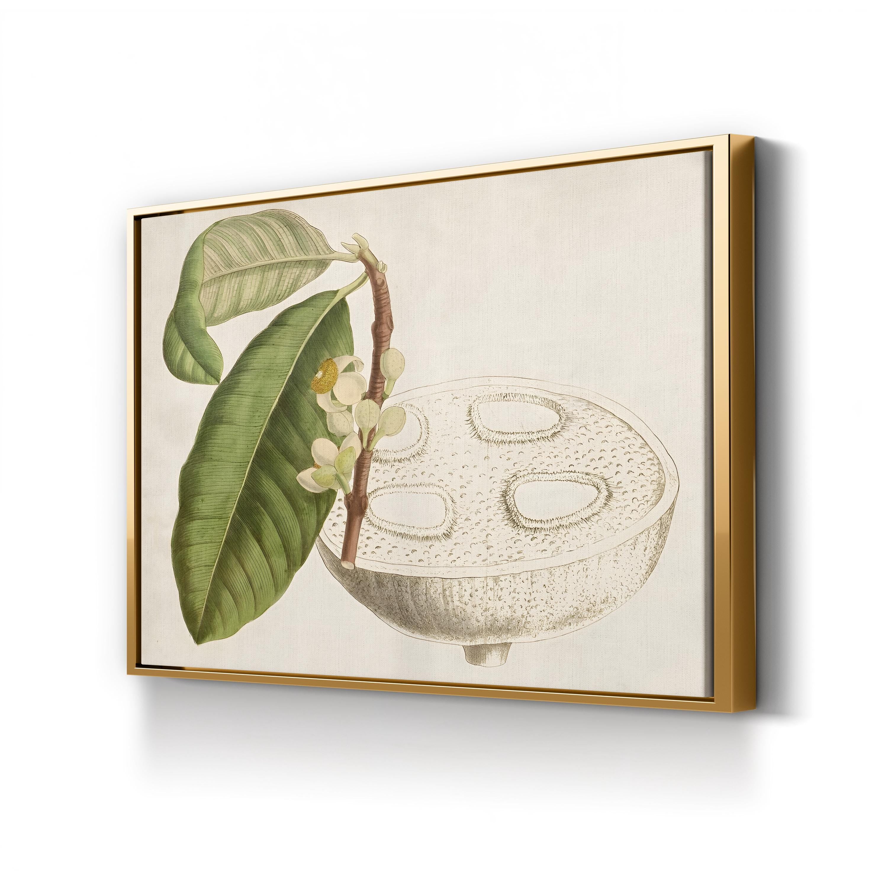 Tropical Fruit Canvas Print: Vintage Botanical Foliage Wall Art