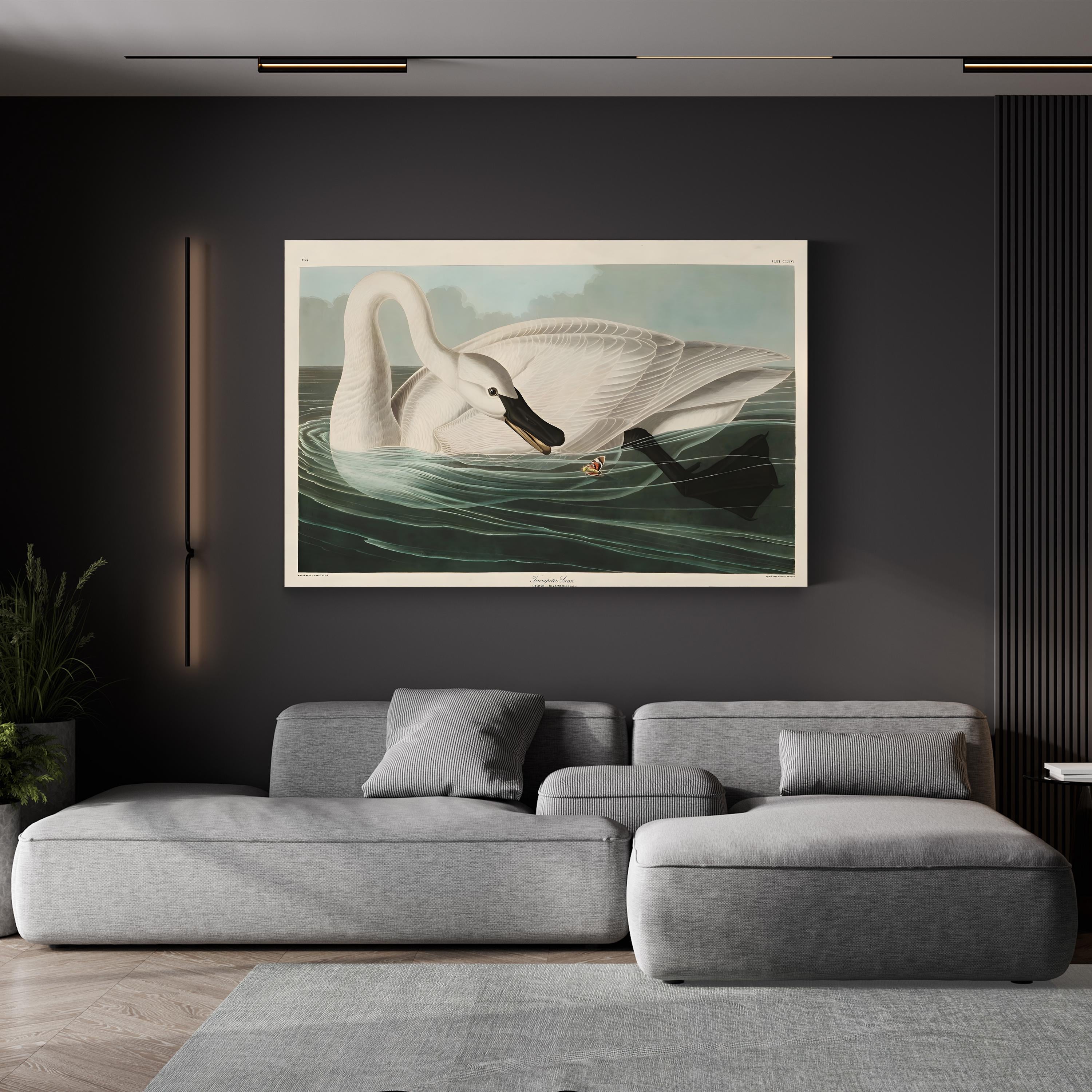 Trumpeter Swan Canvas Art Print: Vintage Wildlife Wall Art in Hand-Cut Wood Frame