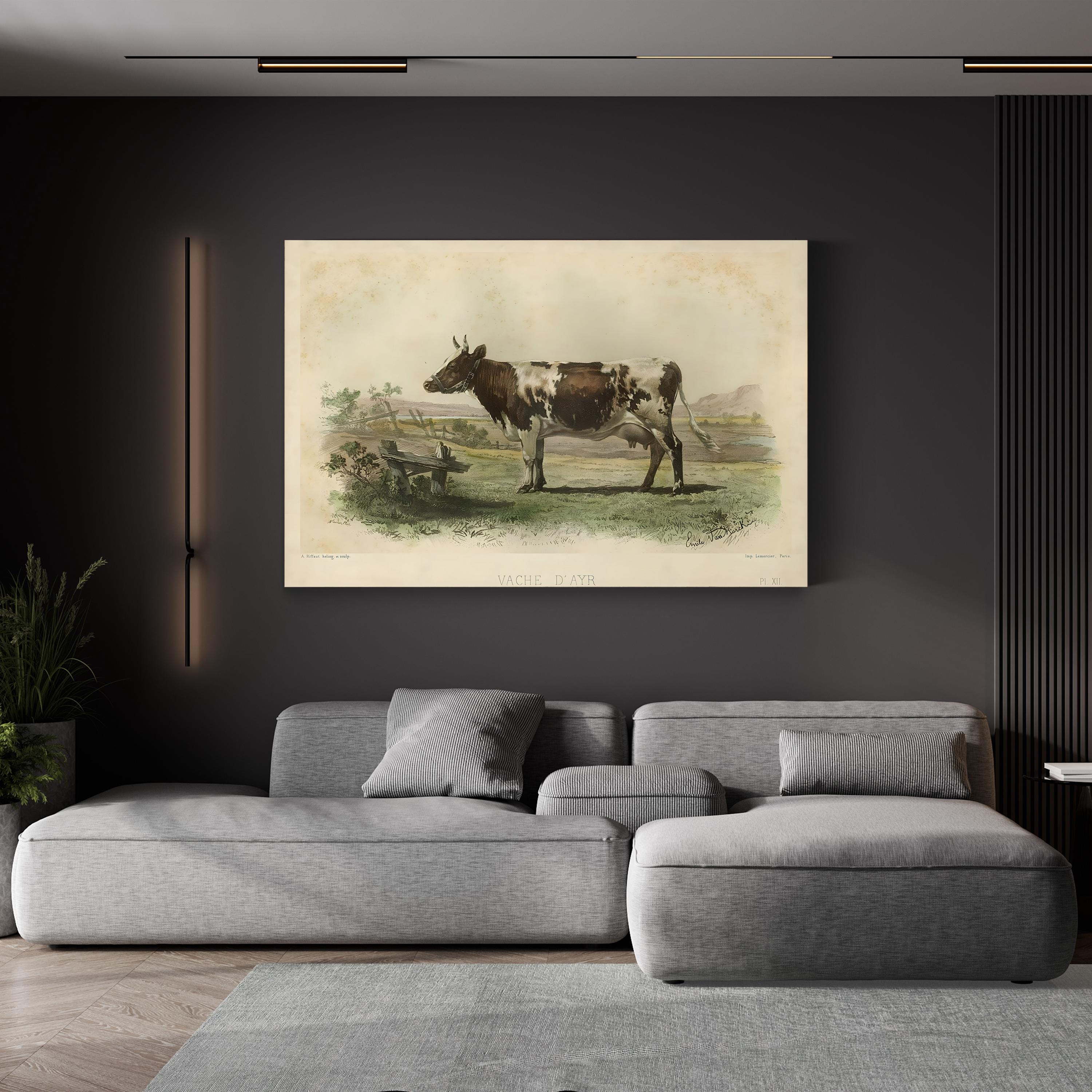 Vache d’Ayr Ayrshire Cow – Period Illustration Wall Art | Rustic Farmhouse Canvas Print