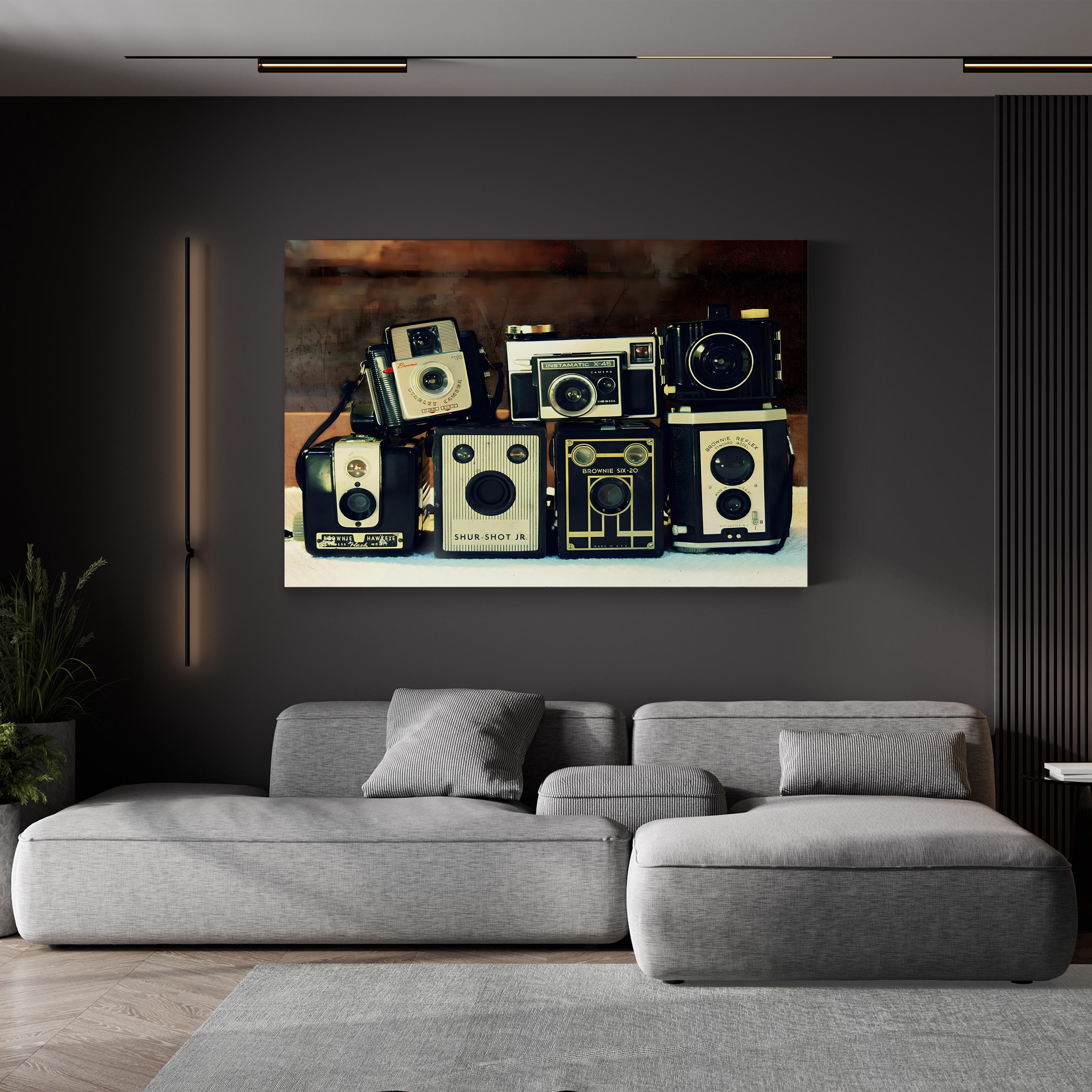 20th-Century Vintage Camera Still Life Canvas Print