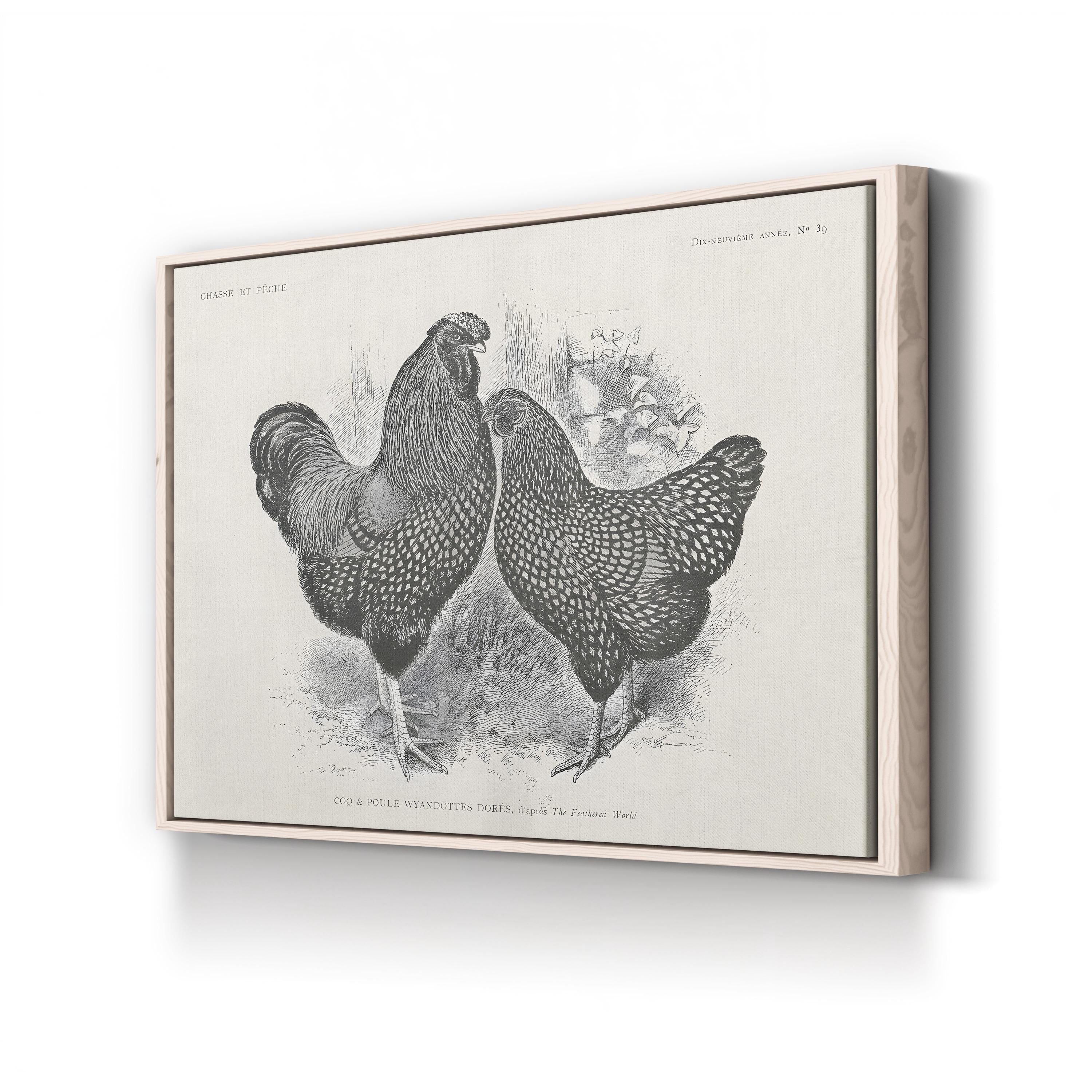 Farmhouse Rooster & Chickens – Period Illustration Wall Art | Black & White Etching Canvas Print