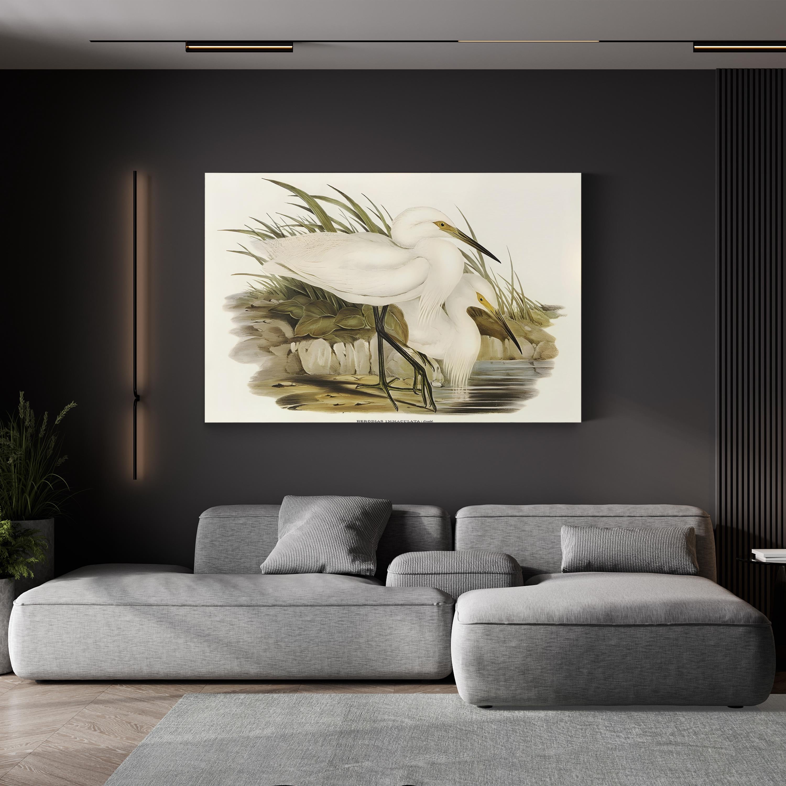 Coastal Egret Waterbird – Period Illustration Wall Art | Vintage Wildlife Canvas Print