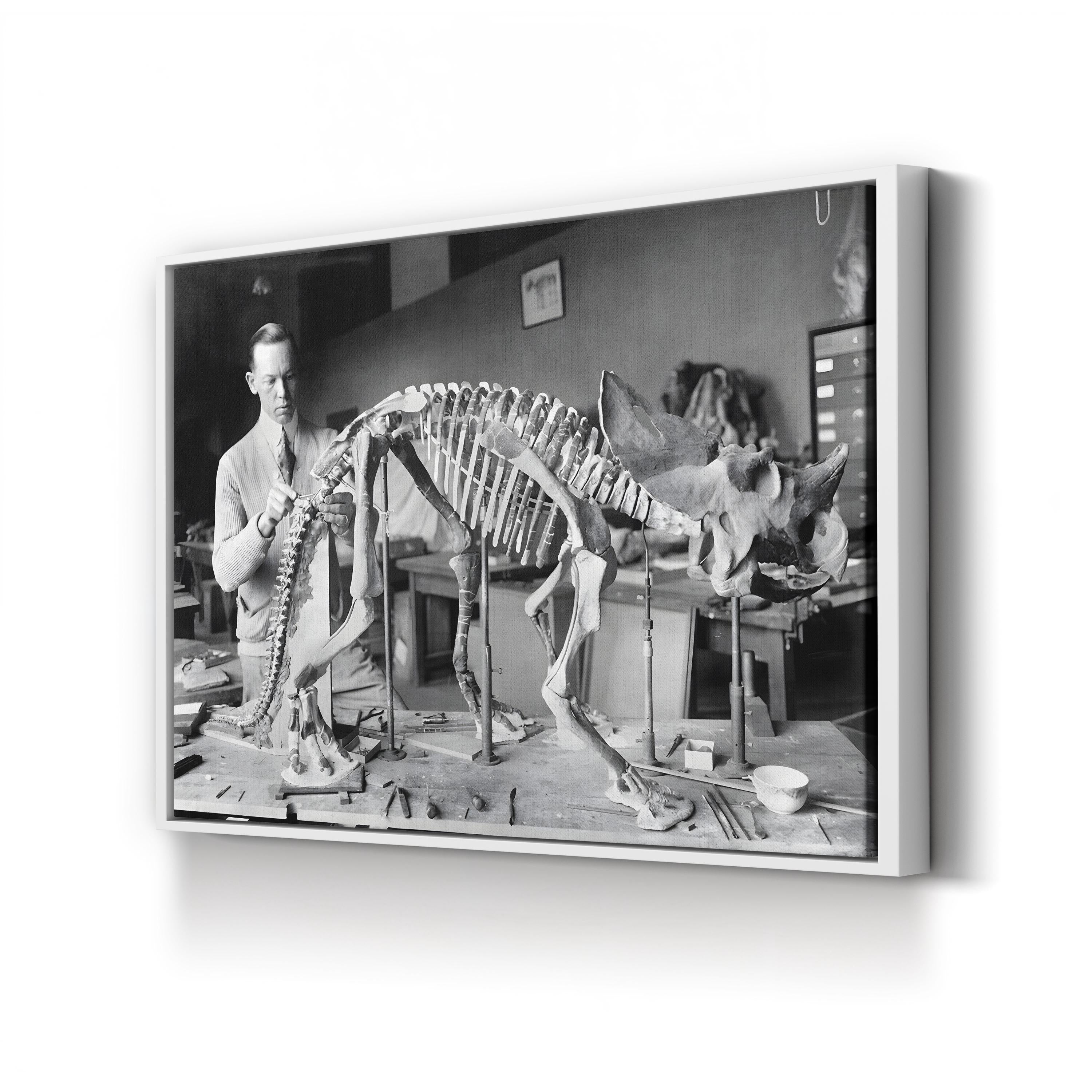 Mounted Sauropod Dinosaur Skeleton, 1921 Wall Art — Vintage Paleontology Museum Photograph