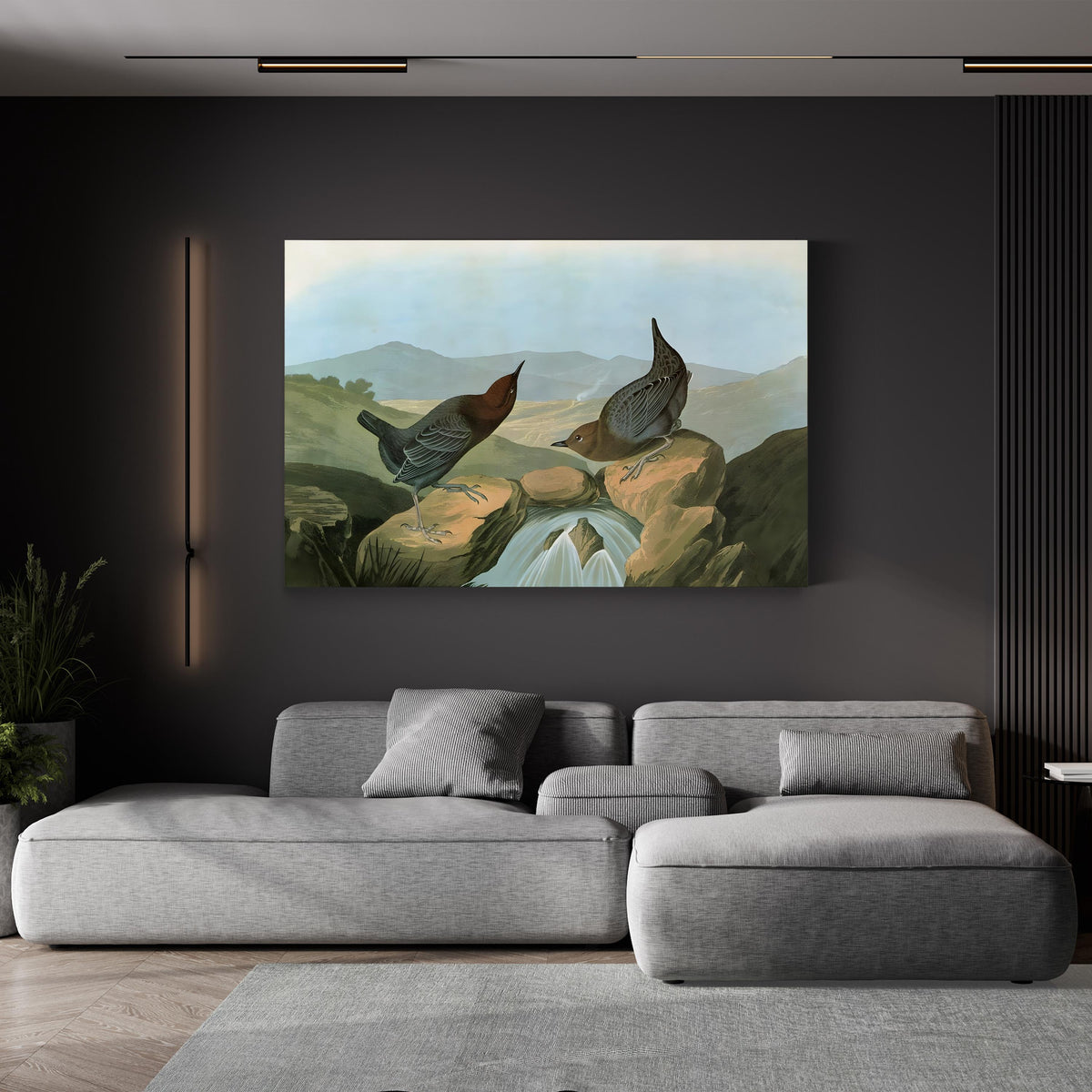 American Dipper (Water Ouzel) by John James Audubon canvas print displayed in a modern living room with a gray sofa