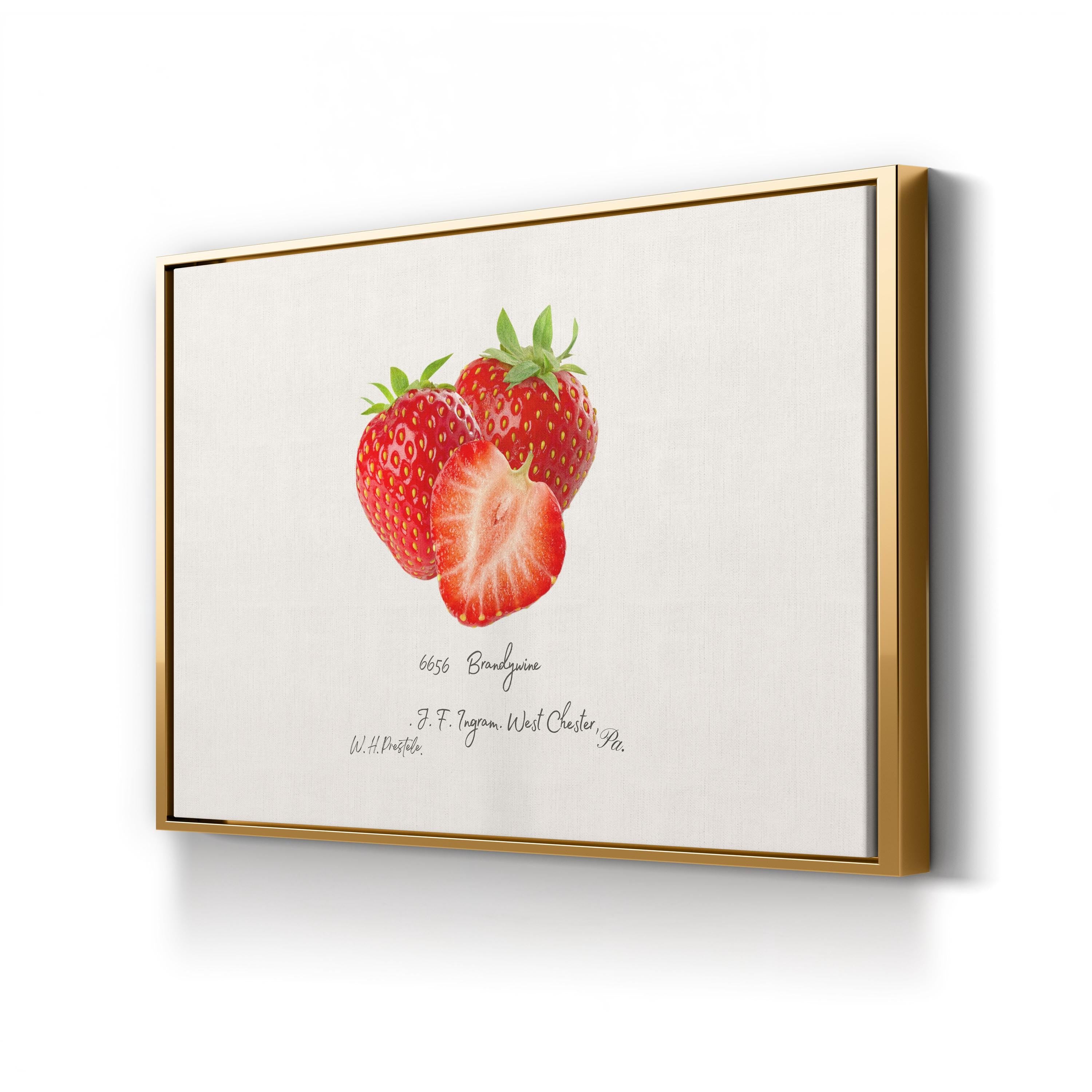 Strawberry Kitchen Wall Art – Vintage Botanical Fruit Illustration Canvas Print