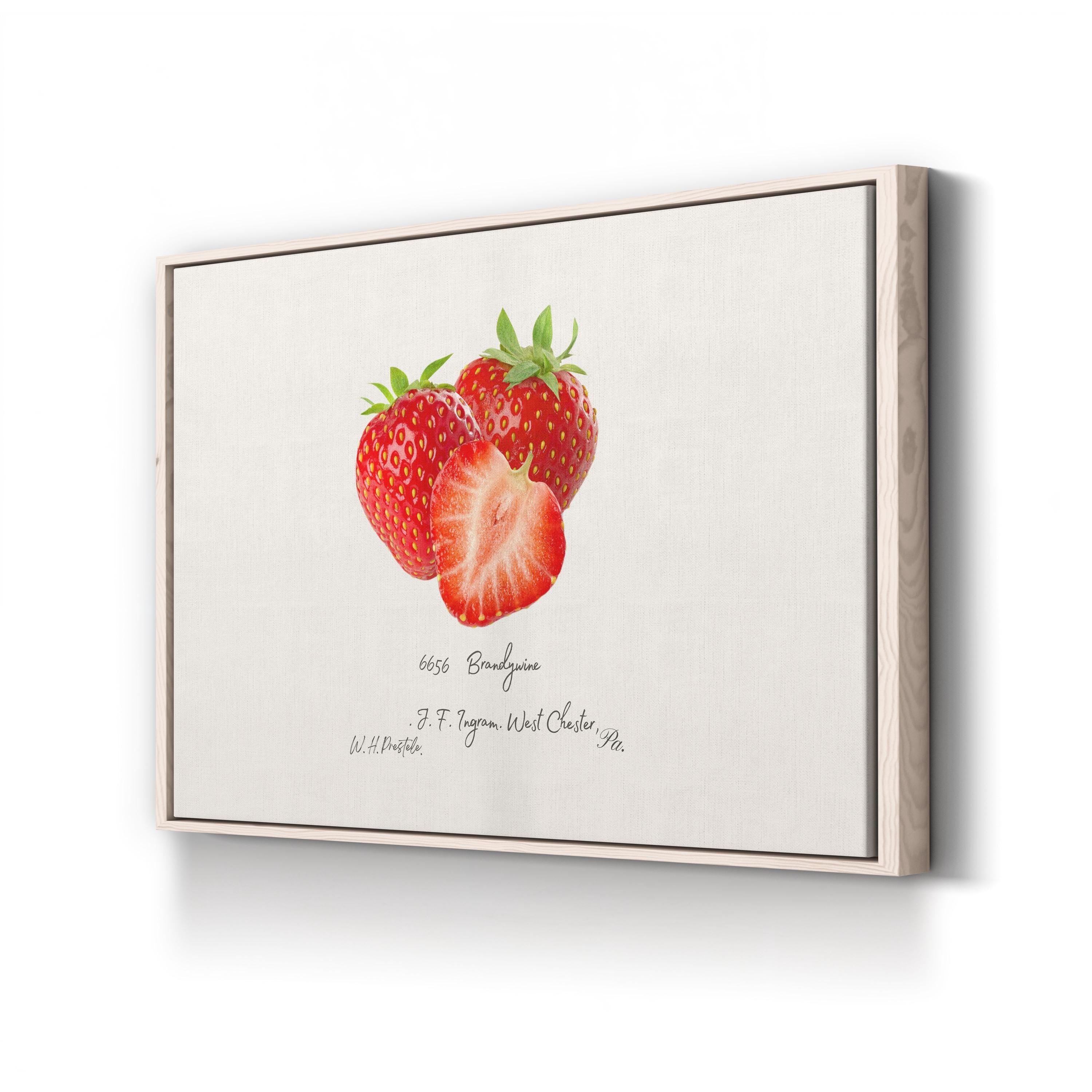 Strawberry Kitchen Wall Art – Vintage Botanical Fruit Illustration Canvas Print