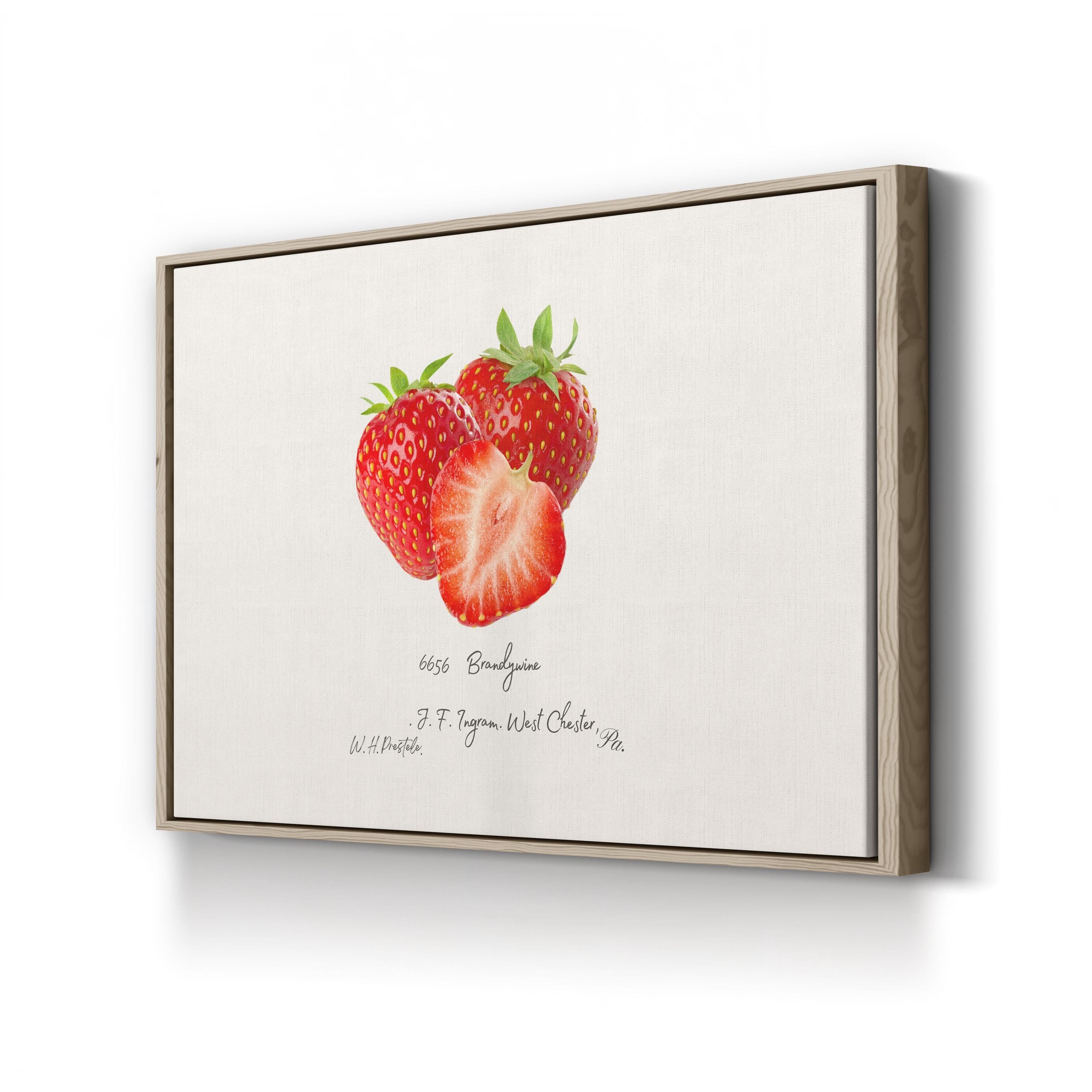 Strawberry Kitchen Wall Art – Vintage Botanical Fruit Illustration Canvas Print