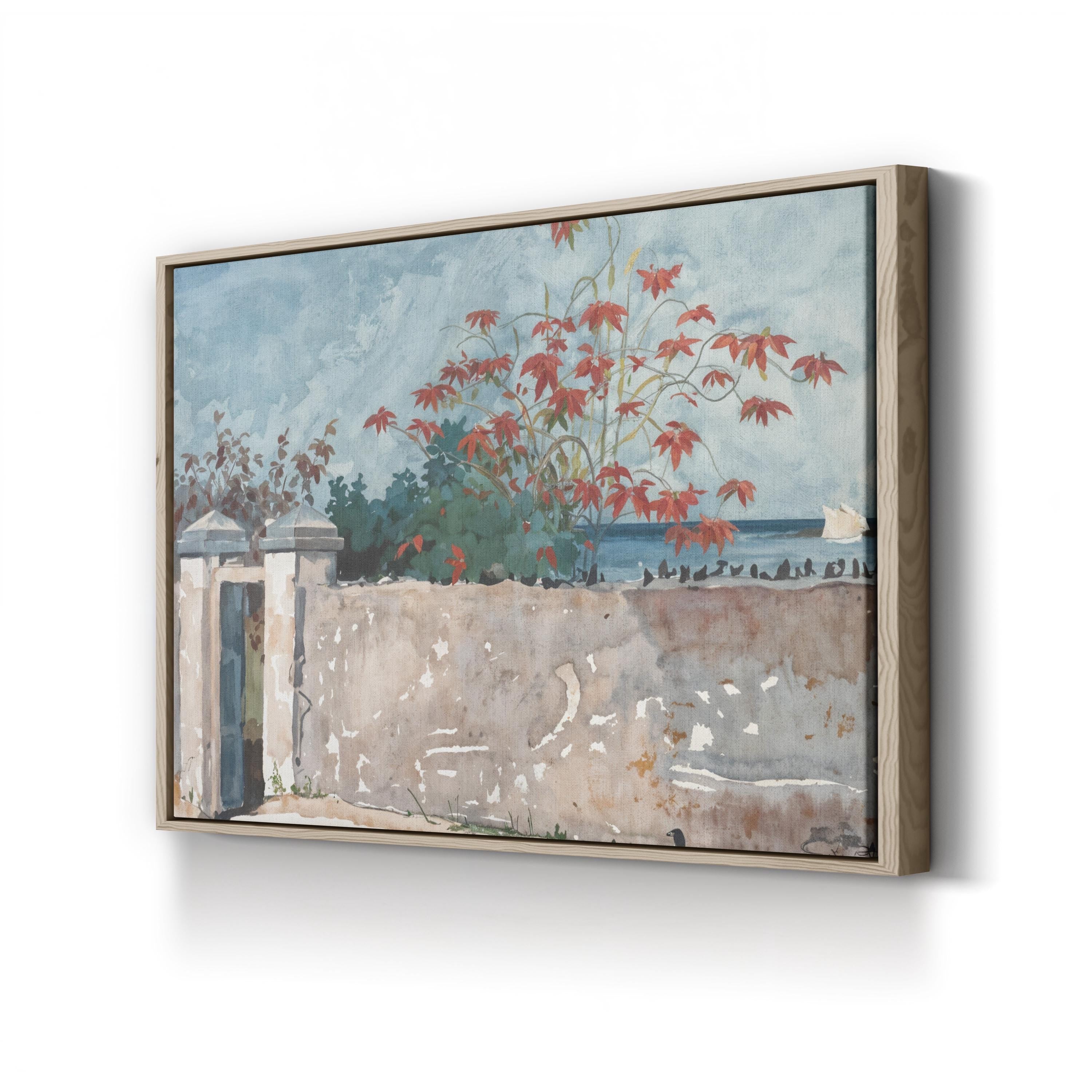 A Wall, Nassau by Winslow Homer canvas print in an oak frame